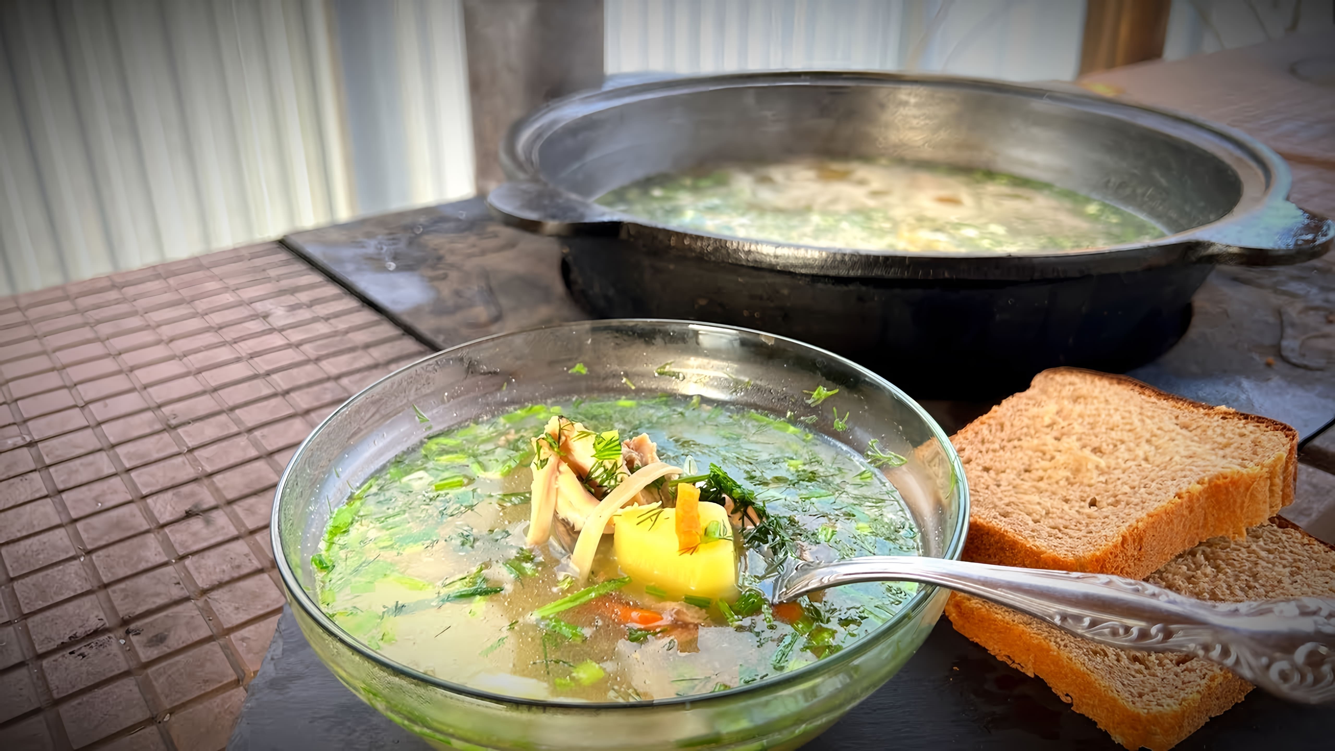 В этом видео демонстрируется процесс приготовления дачного супа из домашней курицы с лапшой в казане