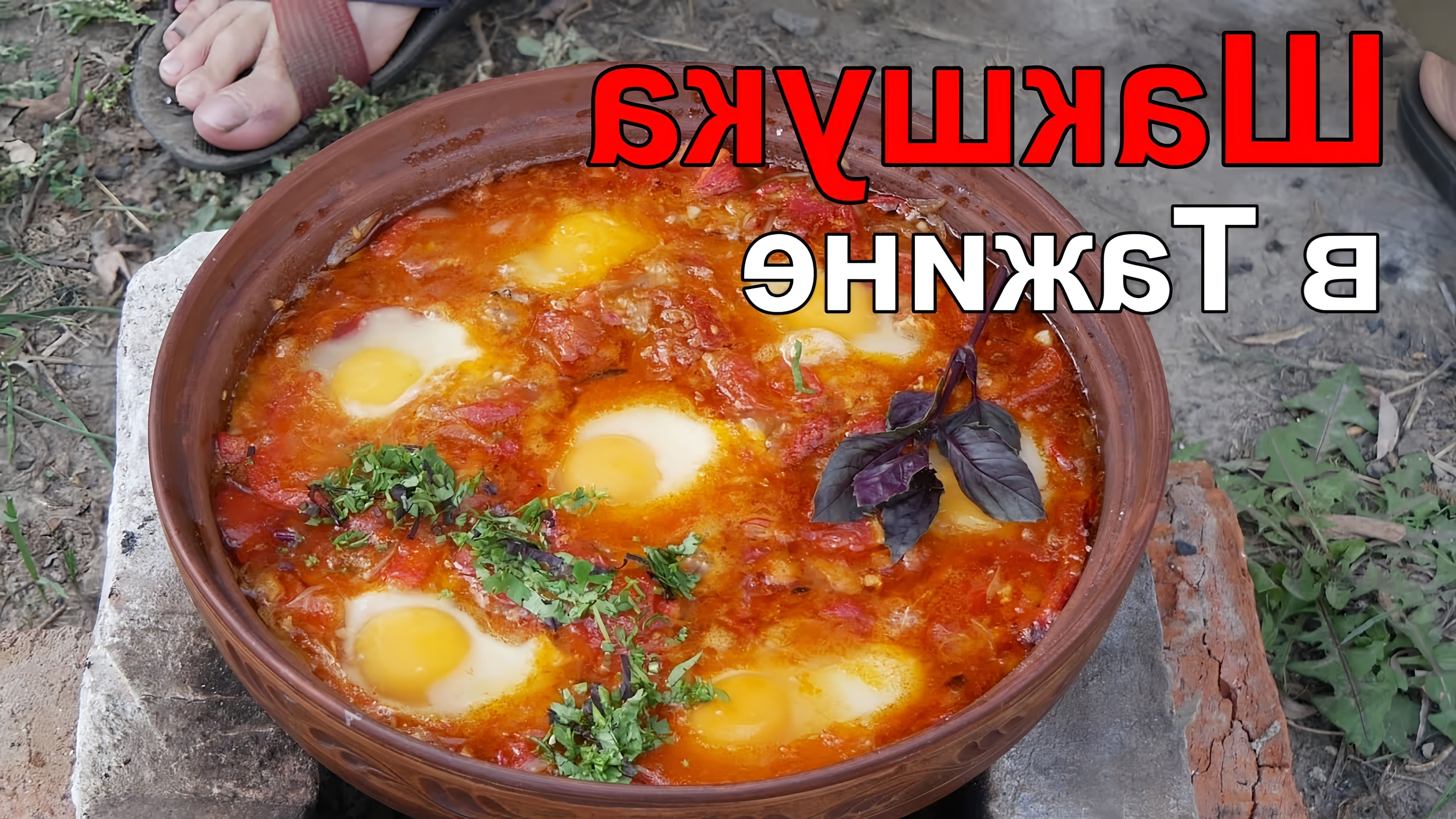 Шакшука - это блюдо, которое готовится из яиц, помидоров и специй