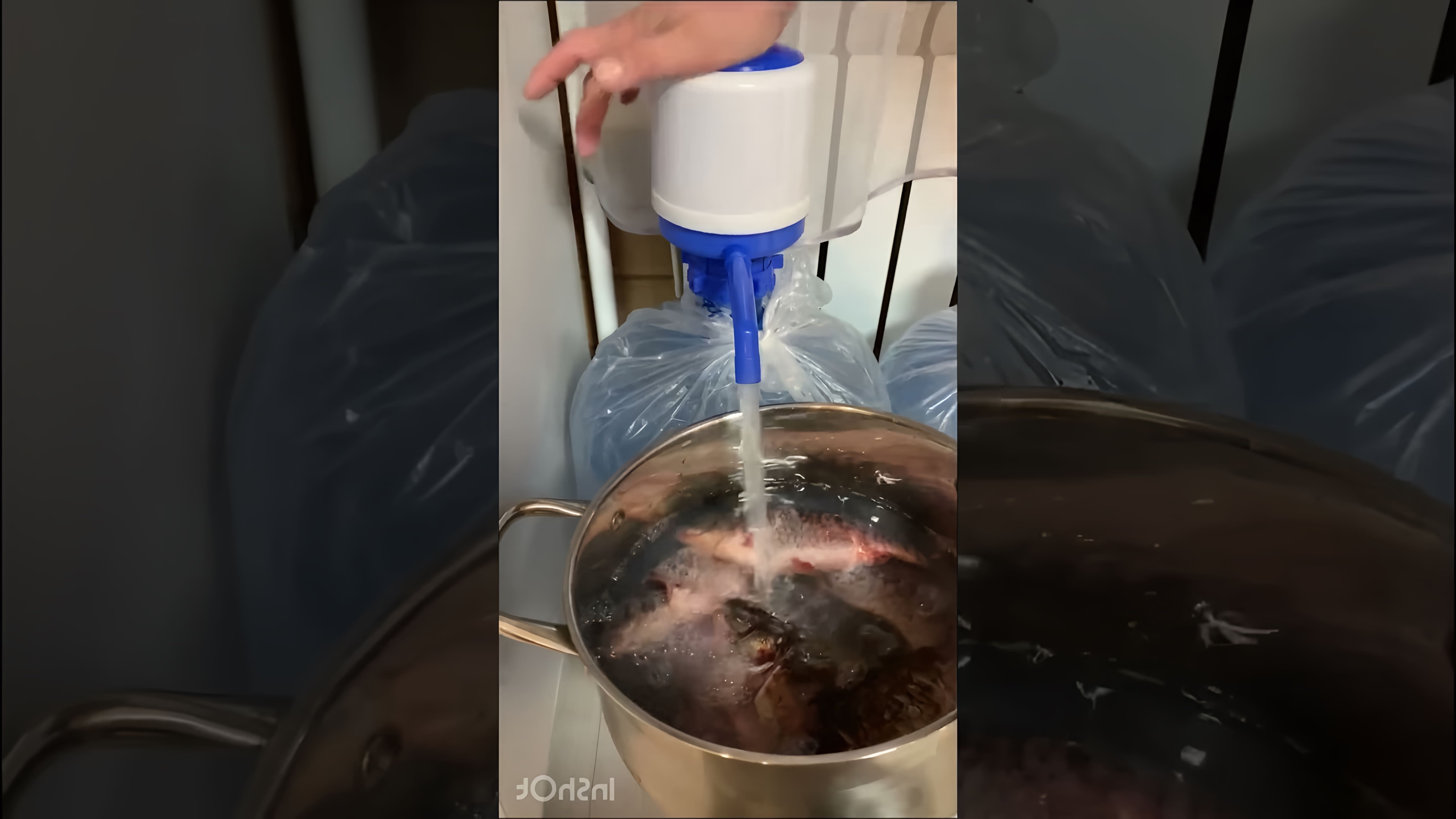 В этом видео-ролике рассказывается о том, как приготовить вкусный и полезный ужин - уху из карасей