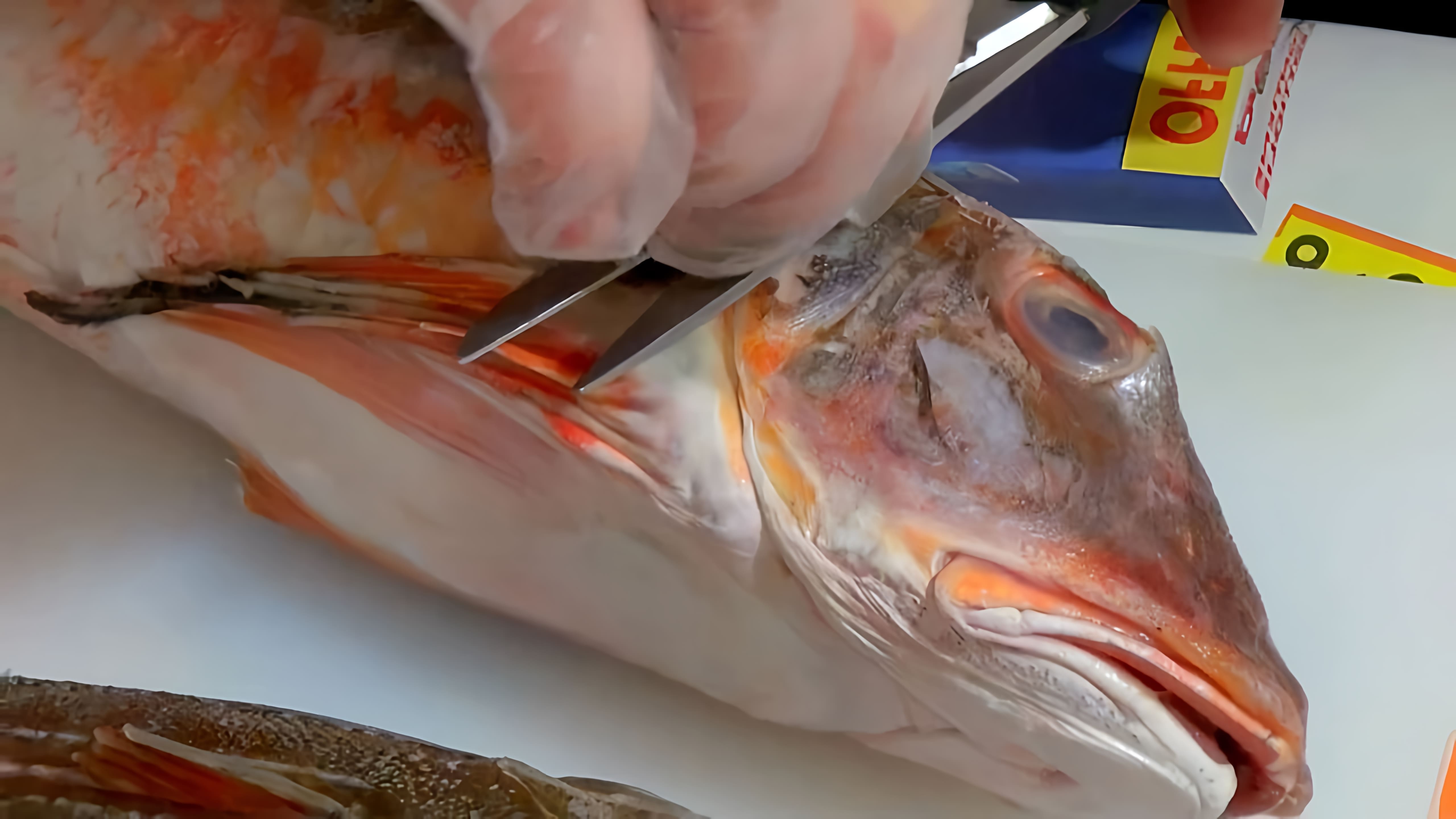В этом видео демонстрируется процесс приготовления морского языка с картошкой и помидорами