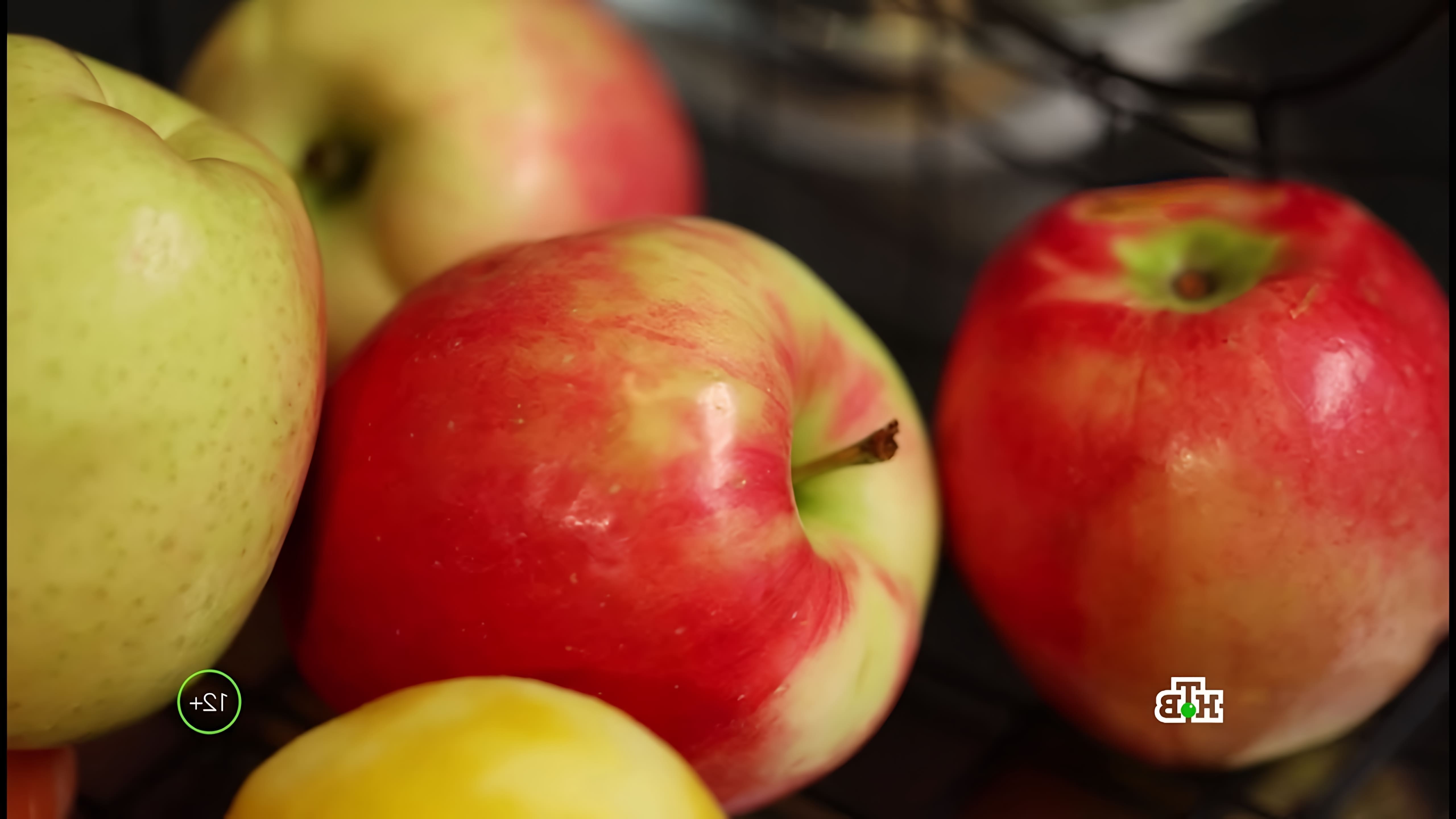 Яблоки - это вкусный и полезный фрукт, который содержит много витаминов и минералов