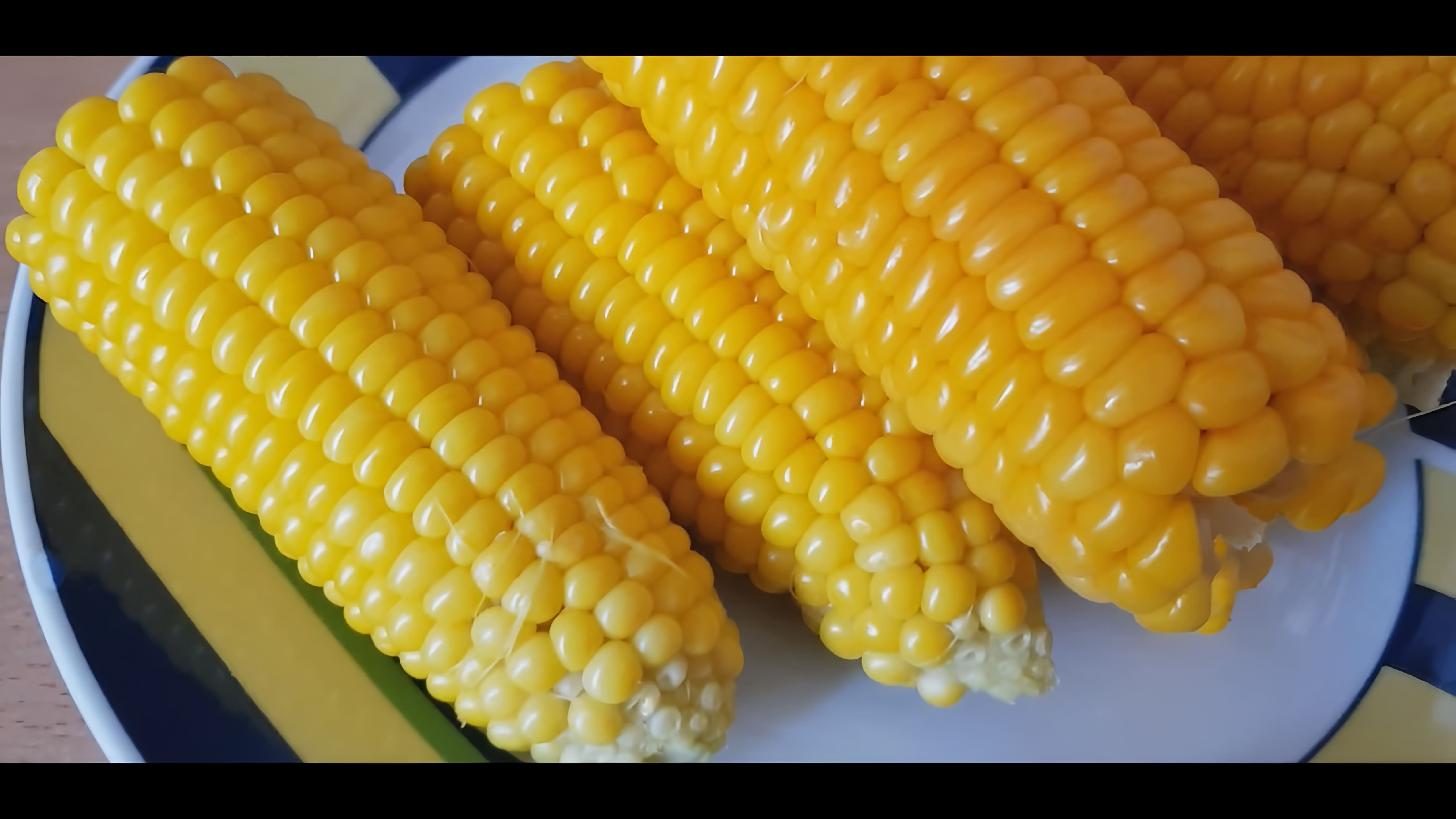 В этом видео-ролике рассказывается о том, как приготовить вкусную и сочную кукурузу в мультиварке