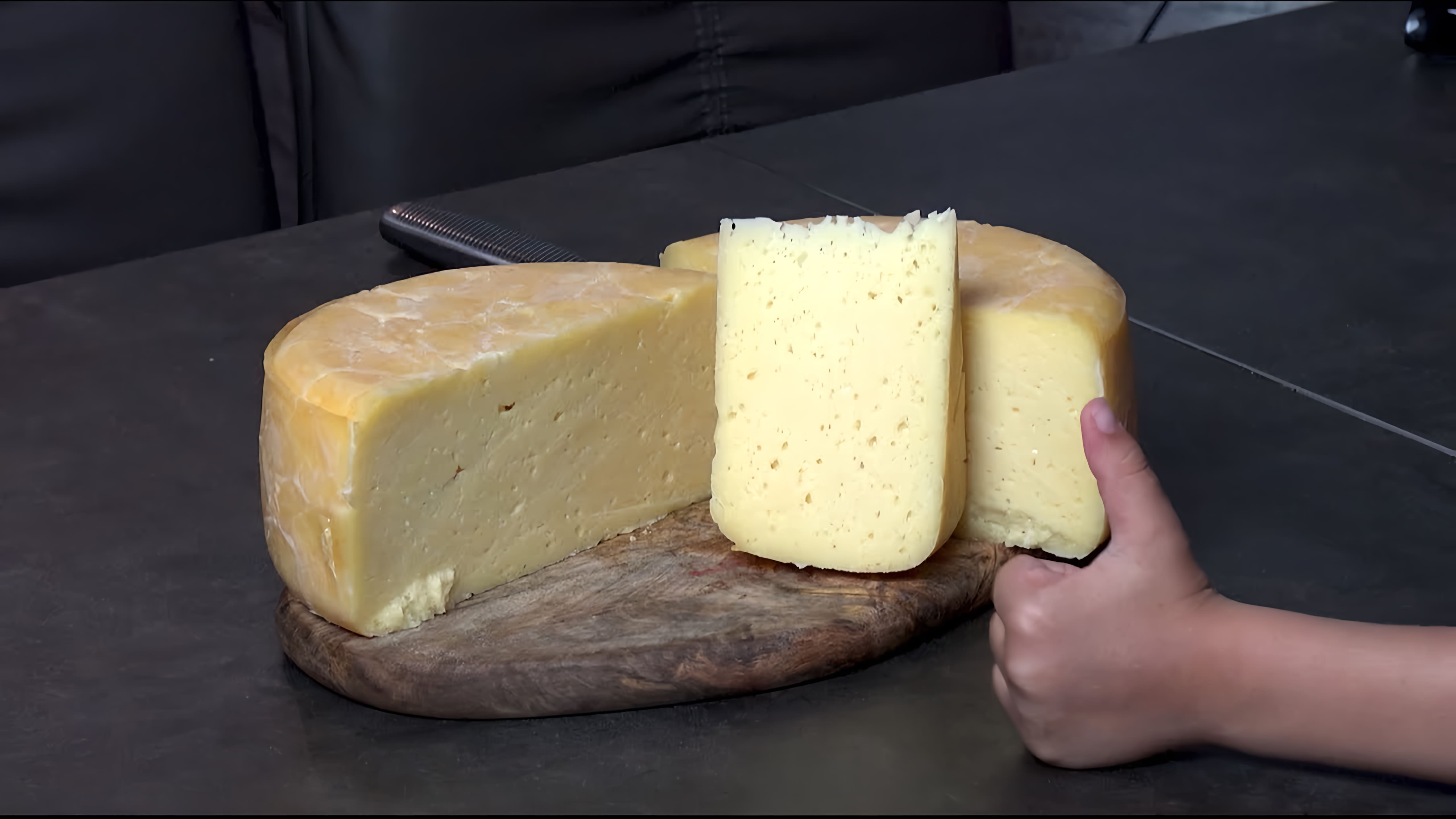 В этом видео рассказывается о процессе приготовления сыра чеддер