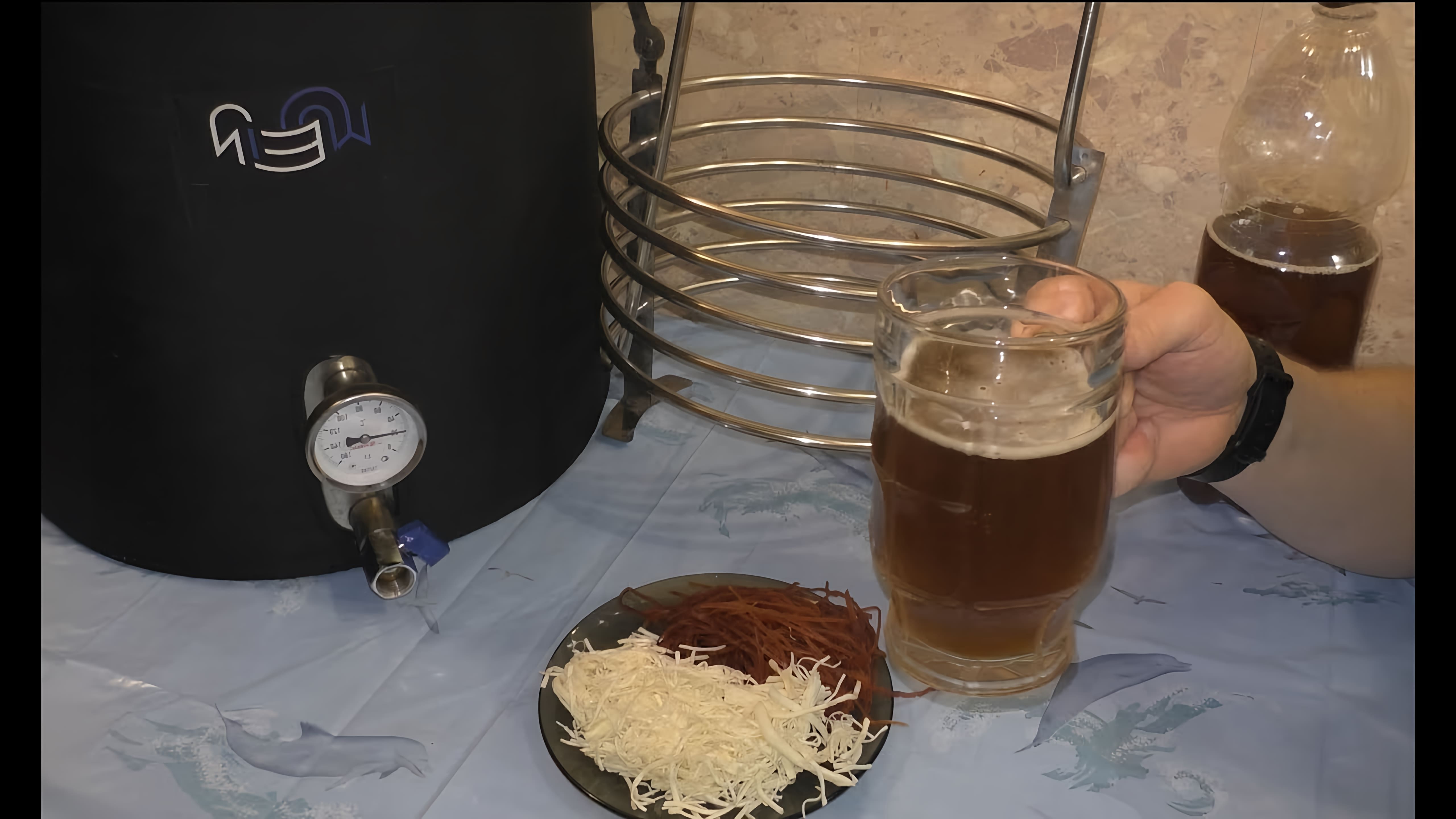 В данном видео демонстрируется процесс варки пива "Пшеничный Эль" на пивоварне Wein
