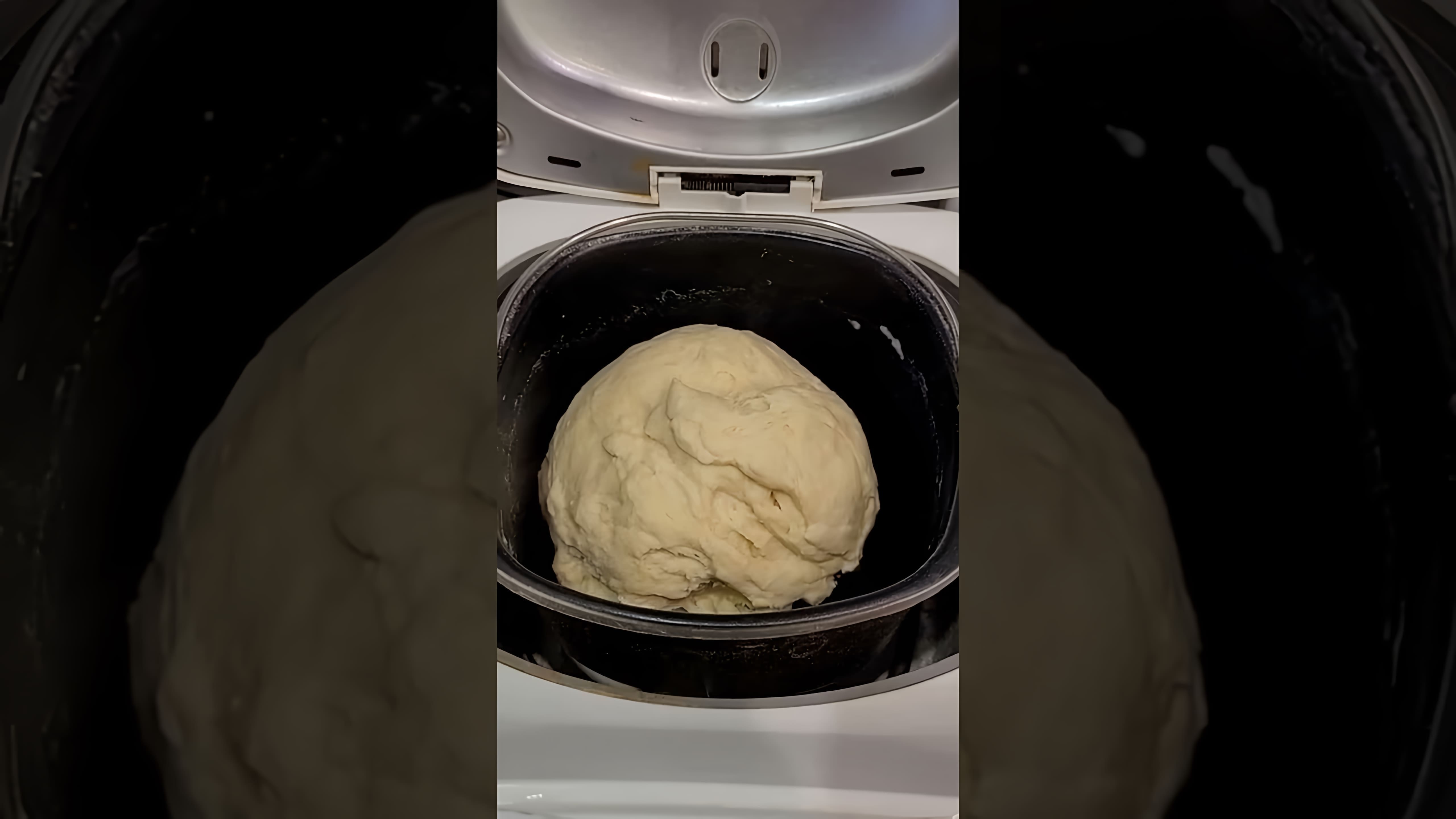 В этом видео демонстрируется процесс приготовления пельменного теста в хлебопечке
