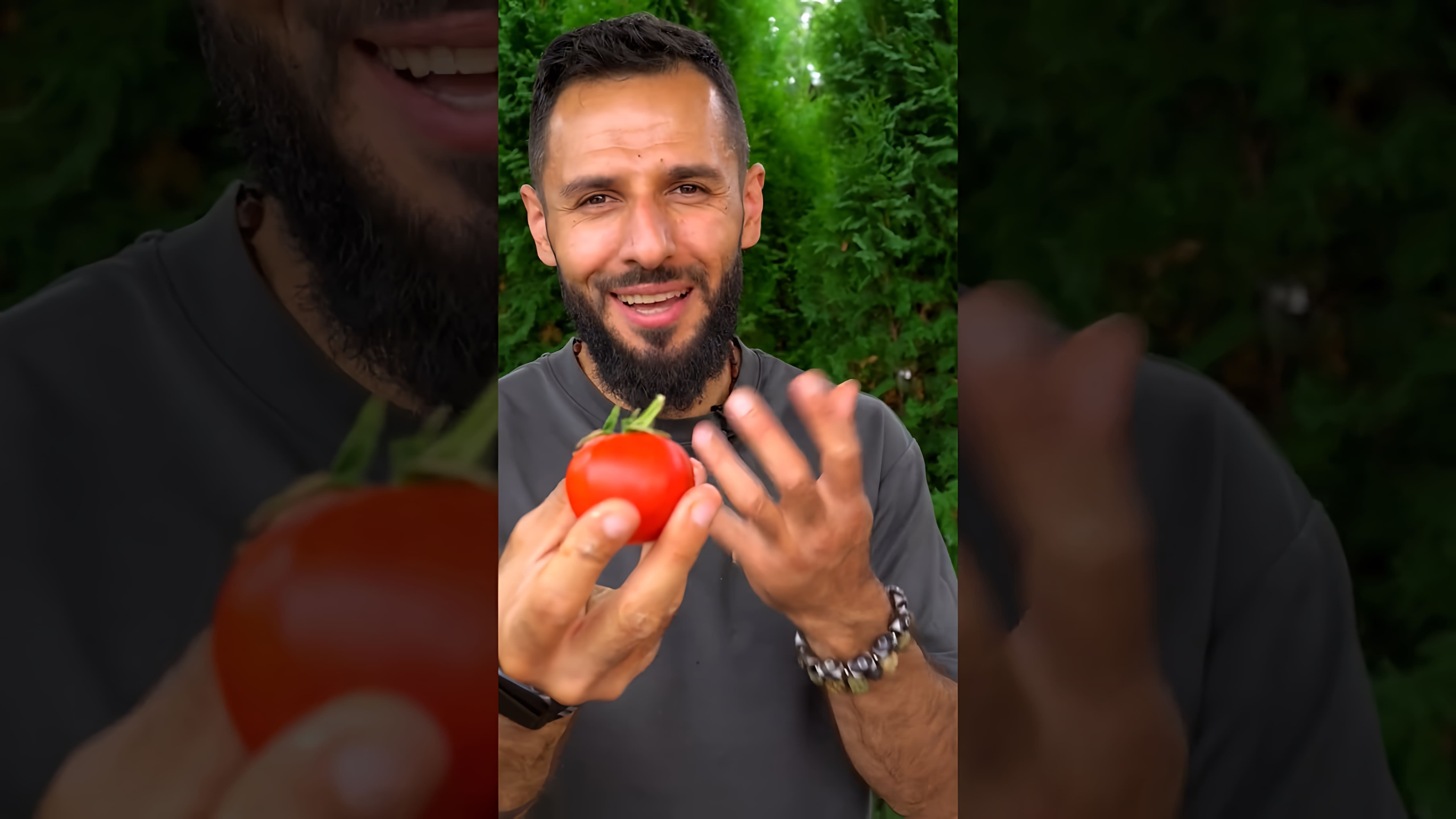 В этом видео демонстрируется процесс приготовления популярного томатного соуса грузинской кухни - сацебели