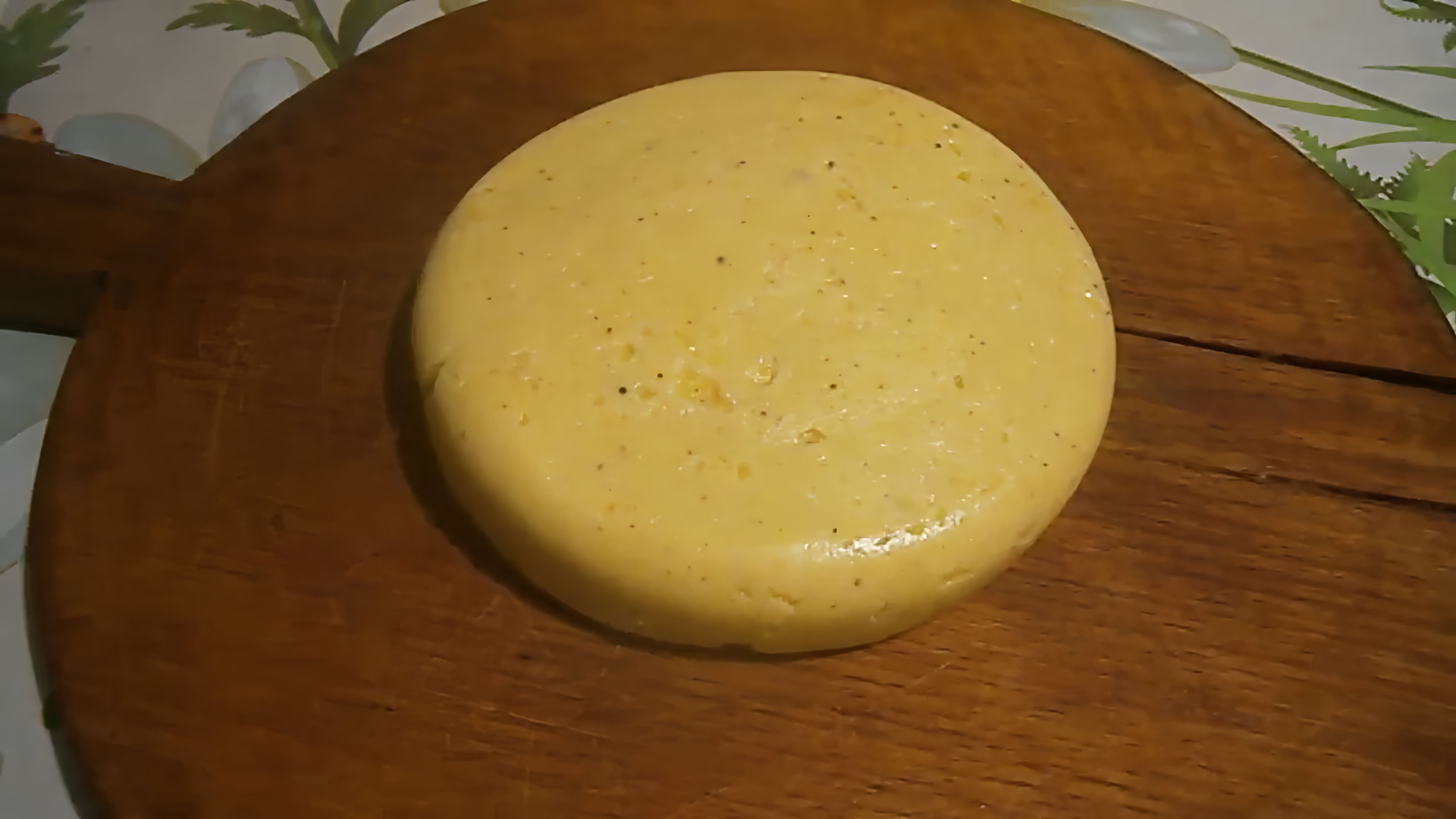 В данном видео демонстрируется процесс приготовления плавленого сыра из козьего молока