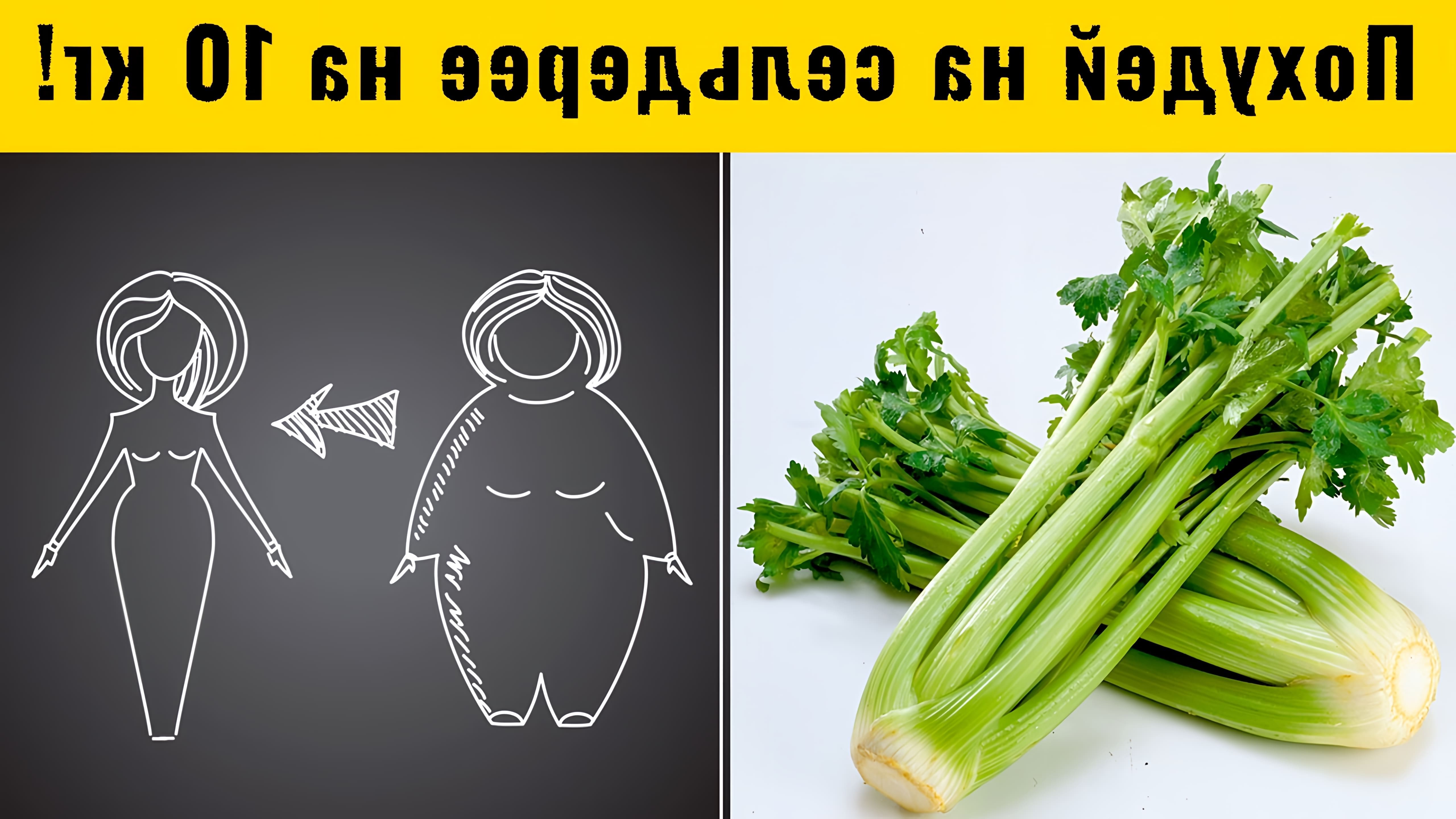 Сельдерей - это не только вкусный и полезный овощ, но и отличный помощник в борьбе с лишним весом