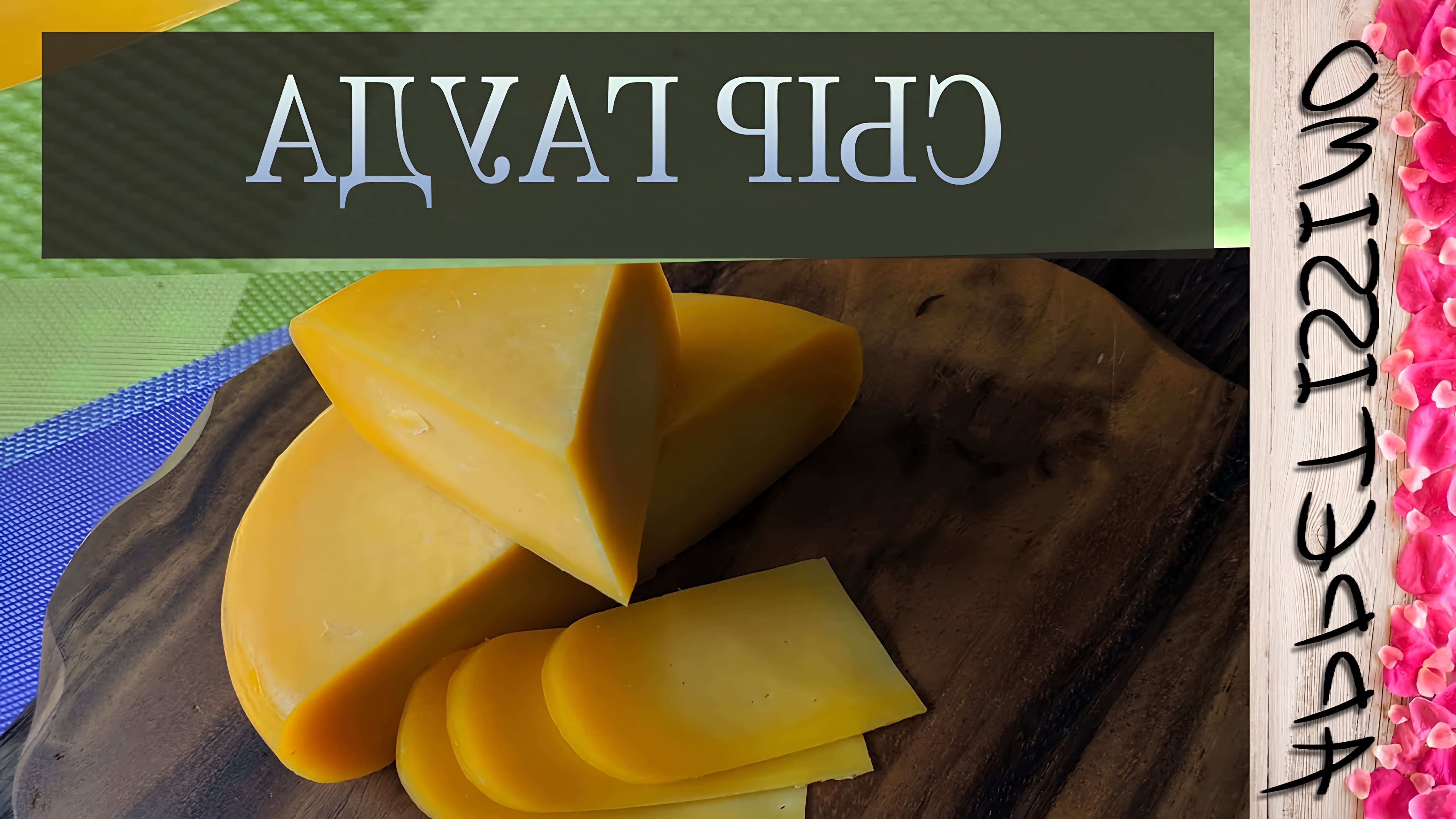 Рецепт сыра Гауда из коровьего или козьего молока в домашних условиях пошагово. Как сделать домашний сыр Гауда... 