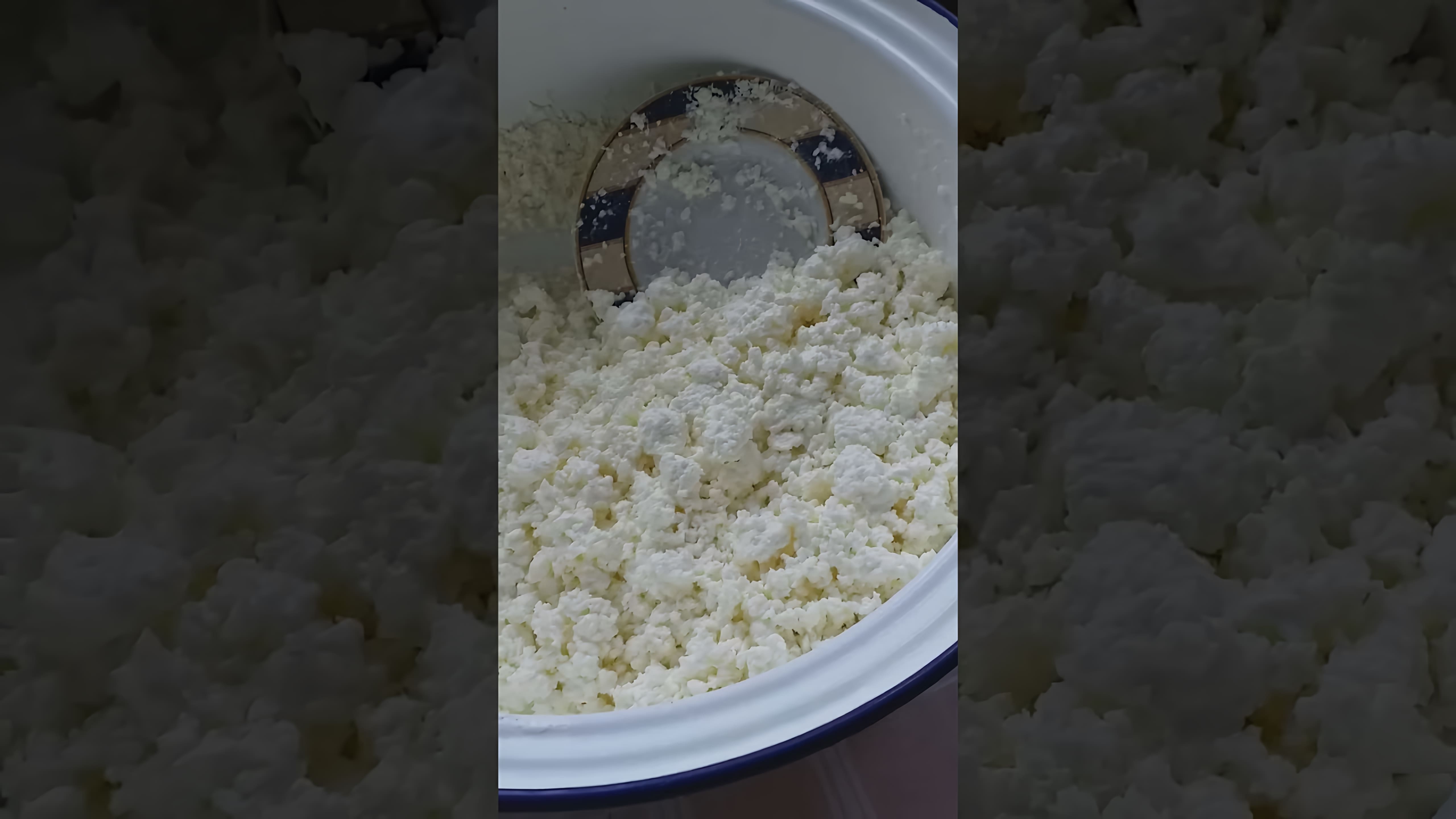 В этом видео демонстрируется рецепт приготовления сырников по ГОСТу
