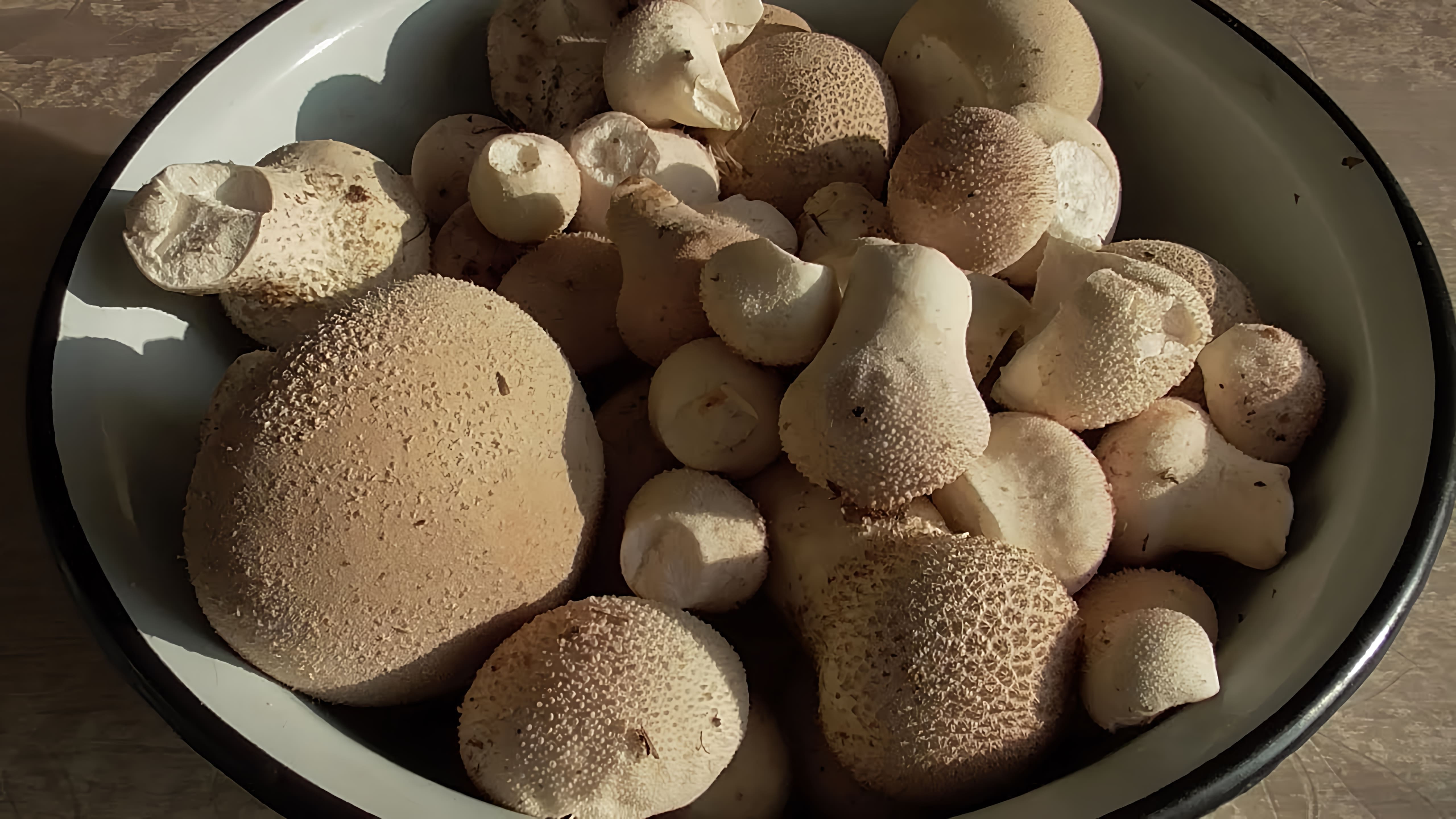 В этом видео показывается, как приготовить грибы дождевики