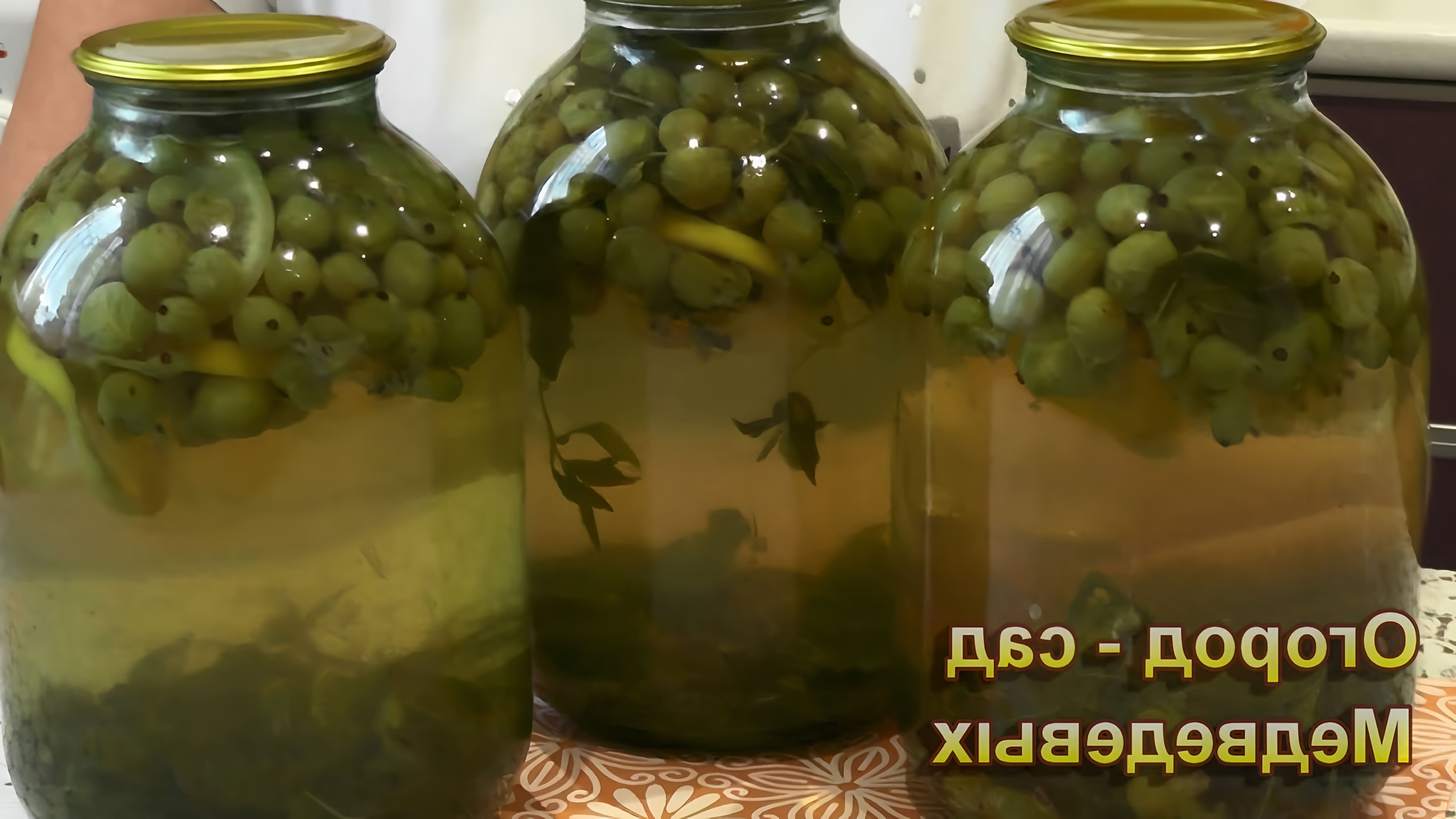 В этом видео демонстрируется процесс приготовления компота из зеленого крыжовника с мятой и лимоном