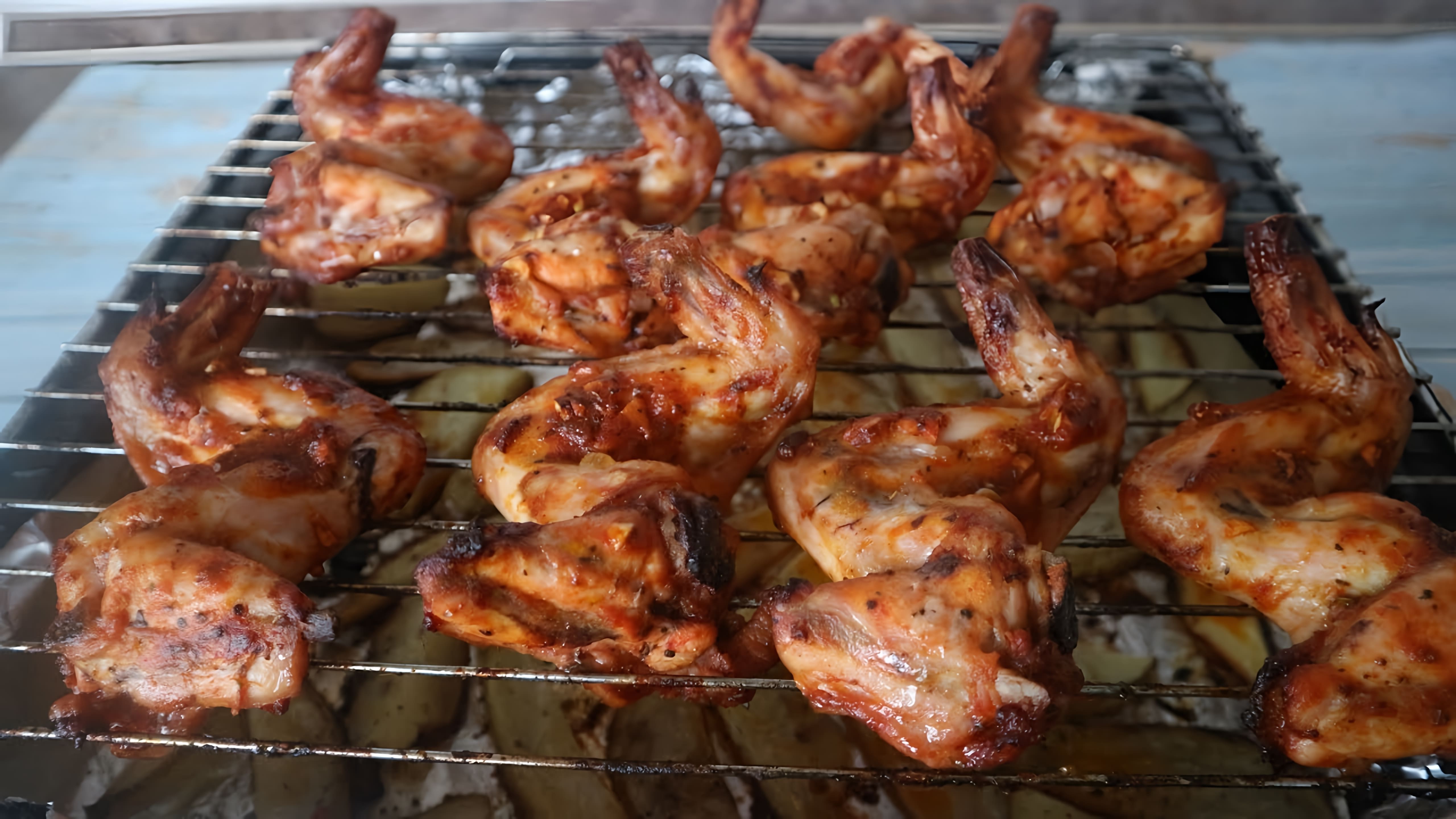 В этом видео-ролике показан рецепт приготовления куриных крылышек в духовке, которые получаются очень вкусными и напоминают шашлык
