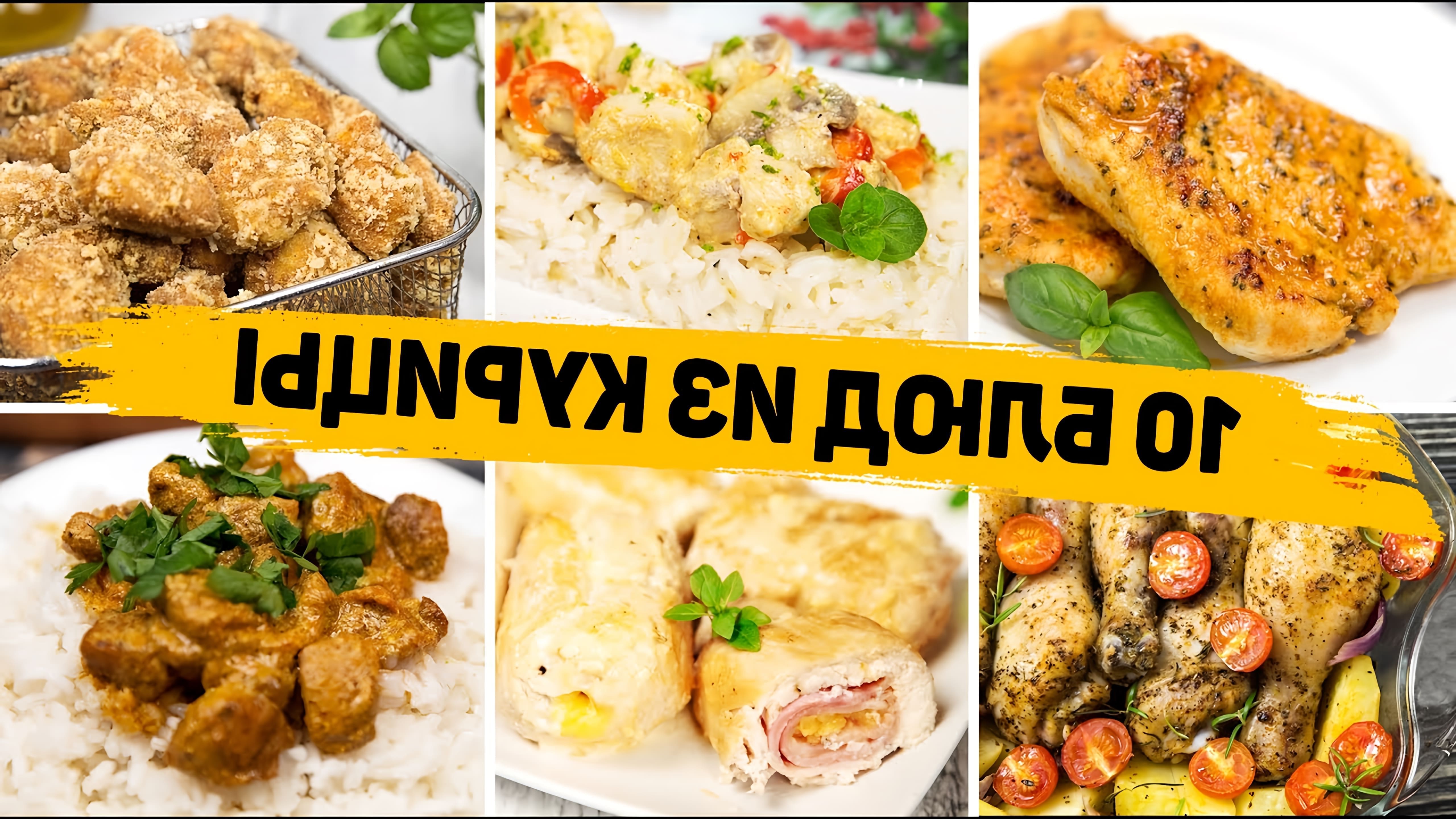 В этом видео представлены 10 рецептов блюд из курицы на каждый день и для праздничного стола