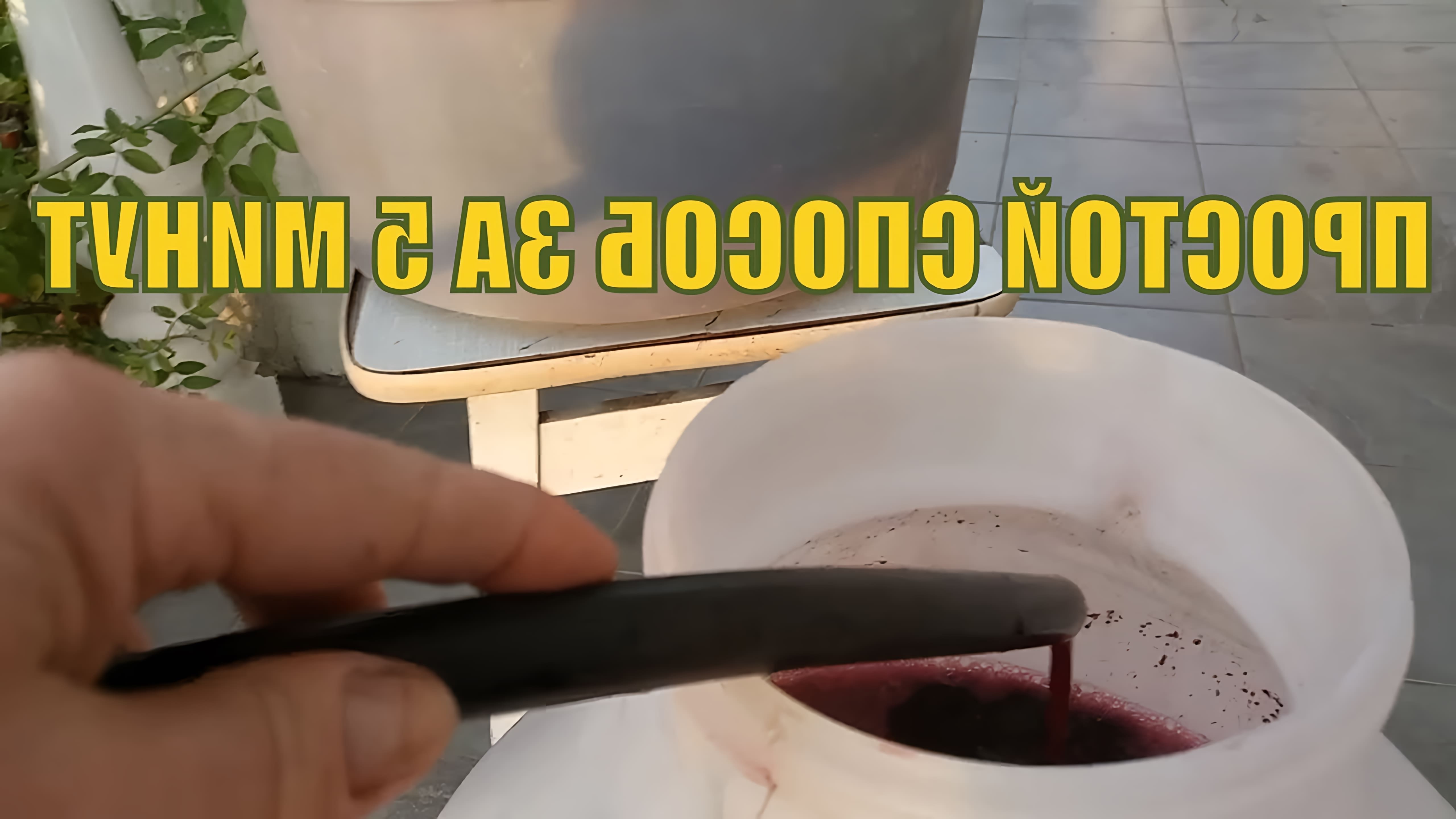 В данном видео демонстрируется простой и быстрый способ отделения мезги от сока винограда