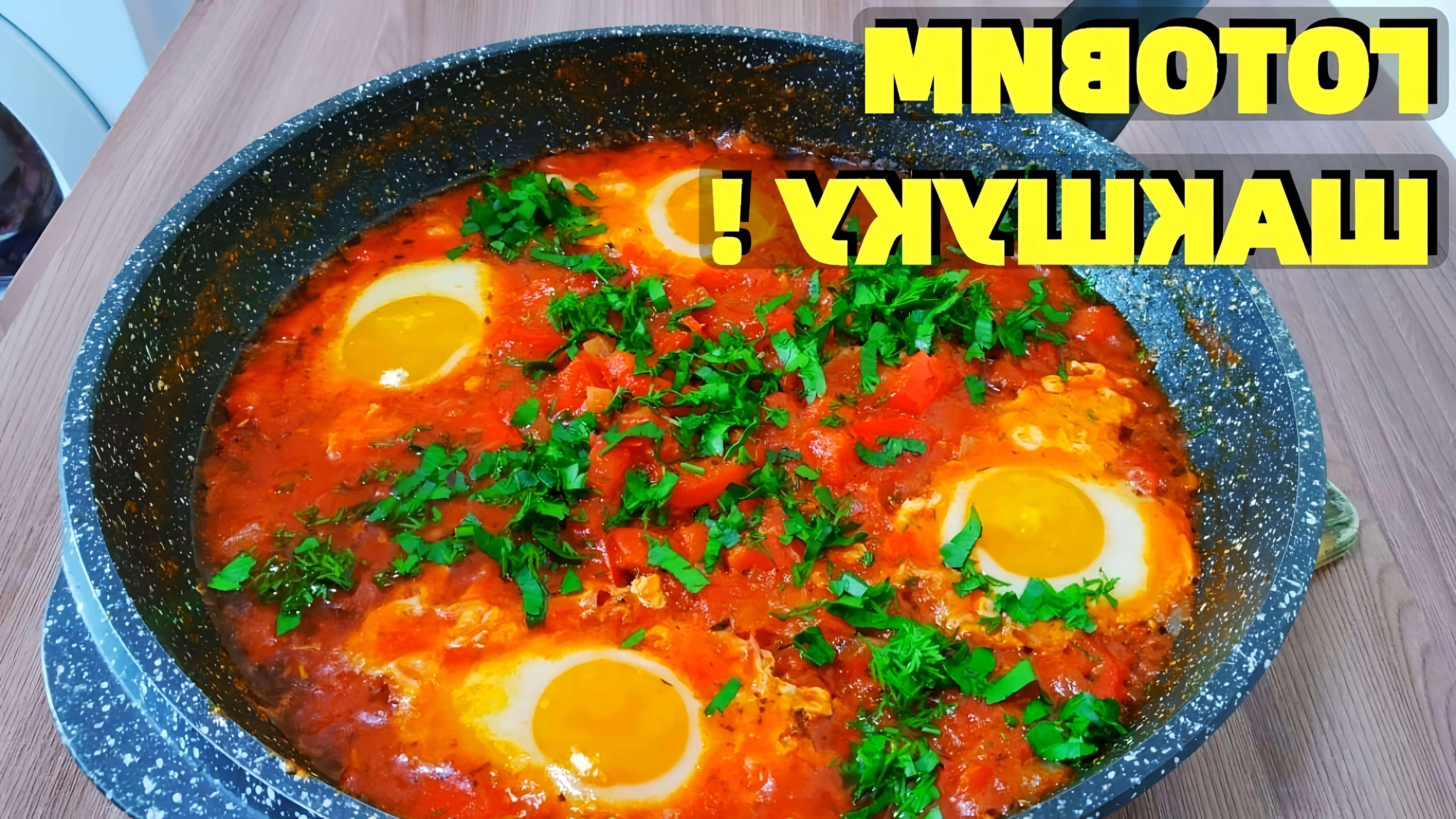 В этом видео рассказывается о приготовлении шакшуки - блюда из яиц, жареных с соусом из помидоров, острого перца, лука и приправ