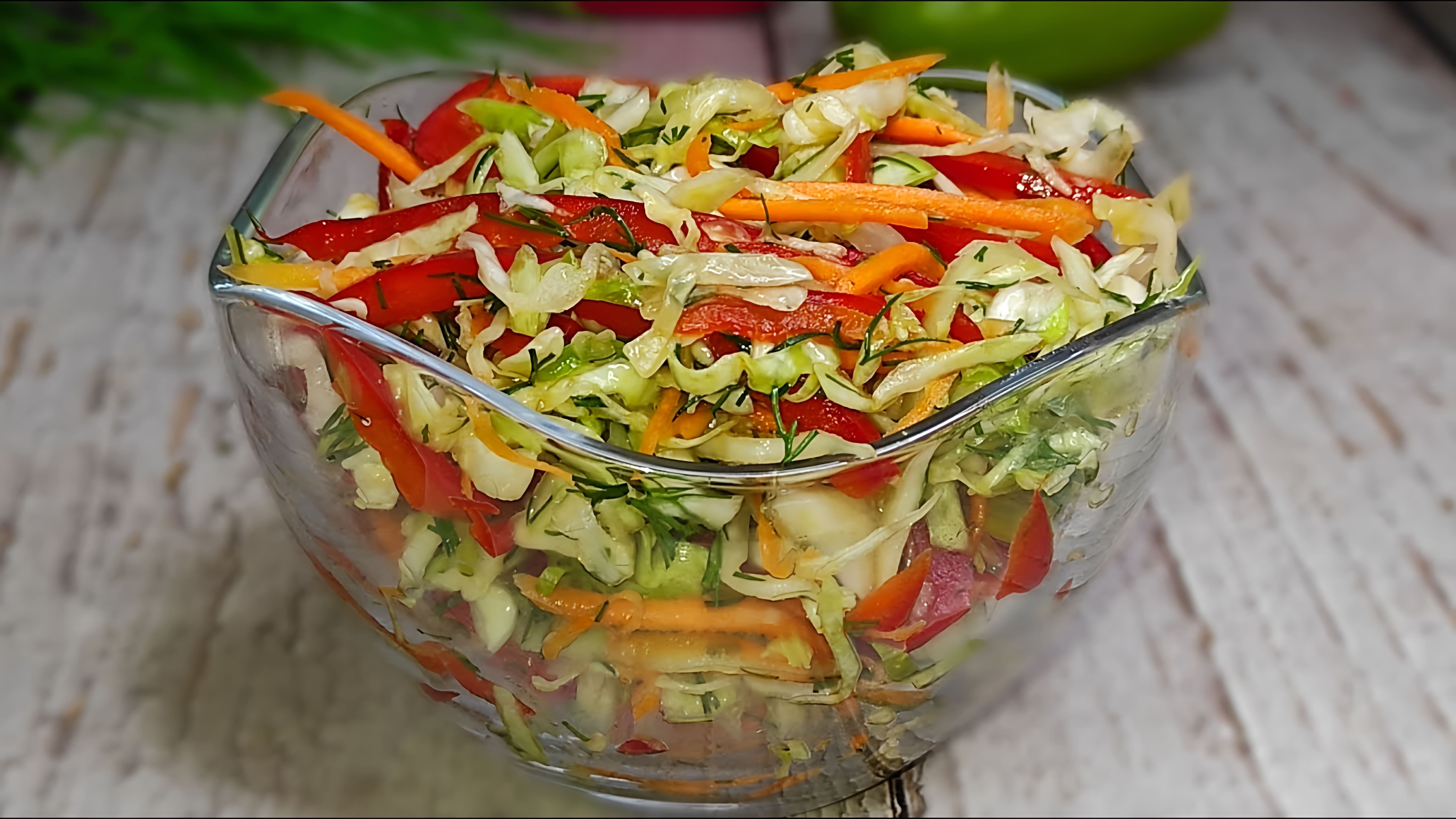 Салат из капусты с болгарским перцем и морковью - это вкусное и полезное блюдо, которое можно приготовить в домашних условиях
