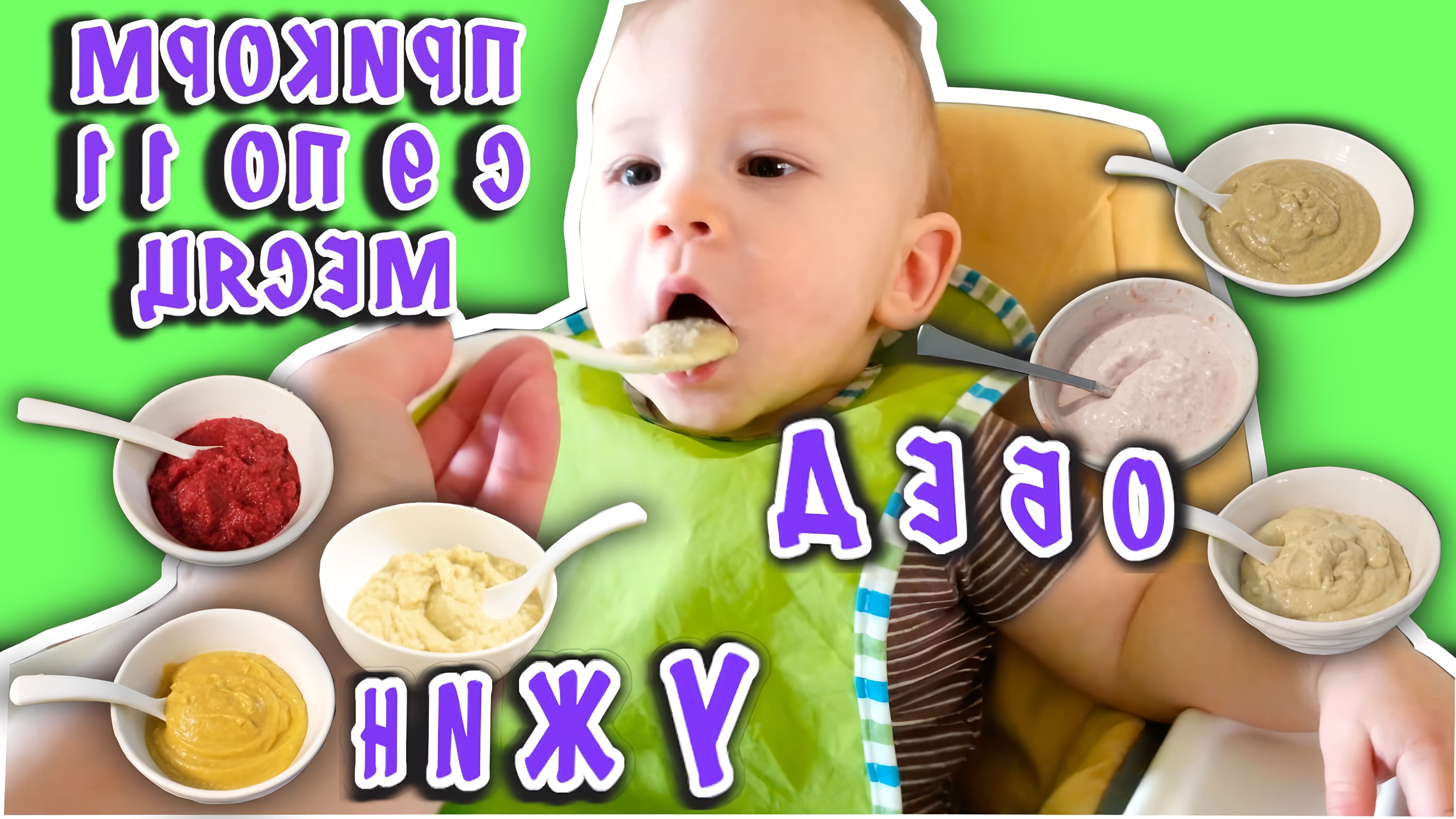 В этом видео я делюсь идеями приготовления прикорма для малышей в возрасте от 9 до 11 месяцев