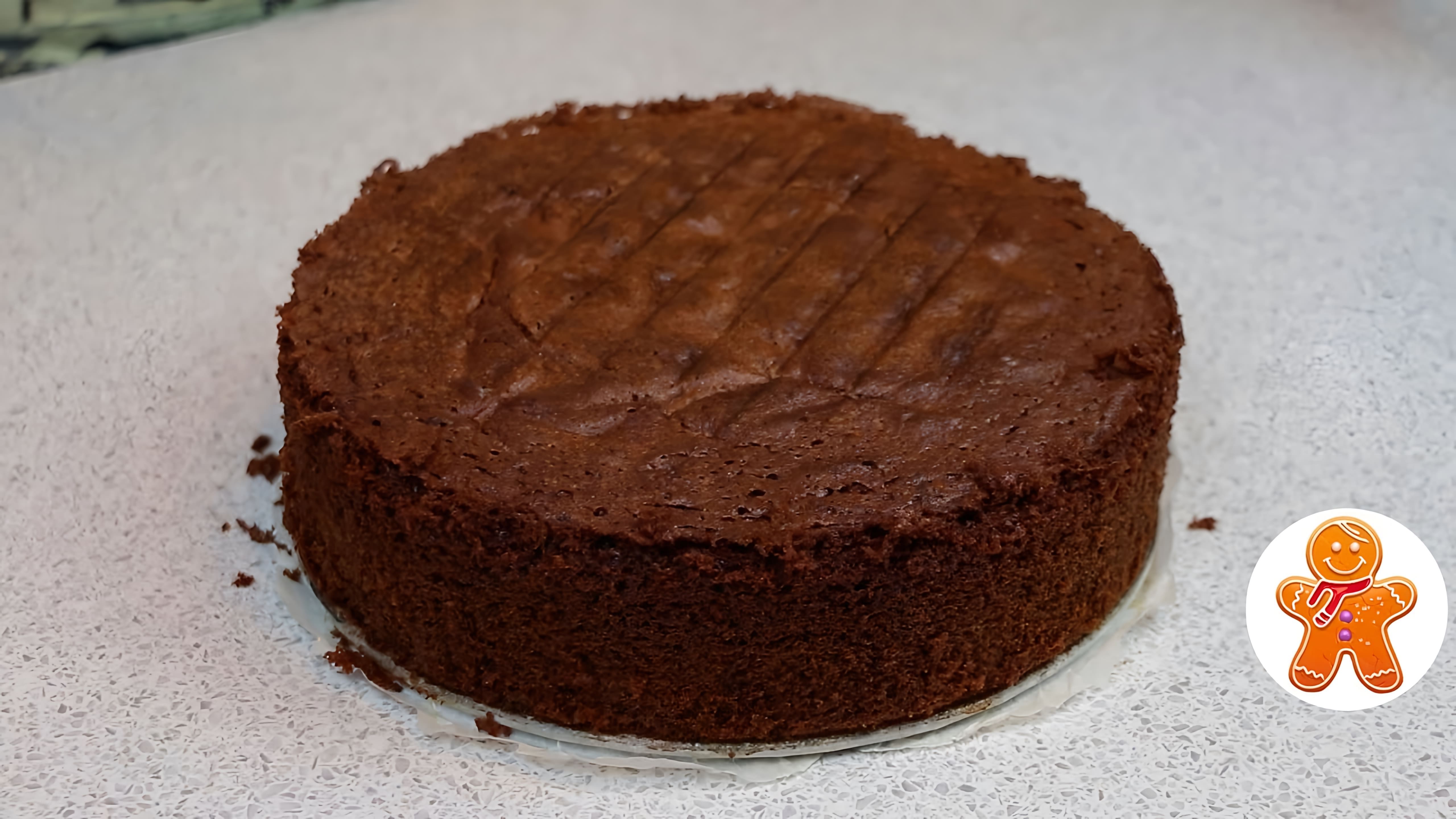 В этом видео демонстрируется рецепт шоколадного бисквита "Перфект"