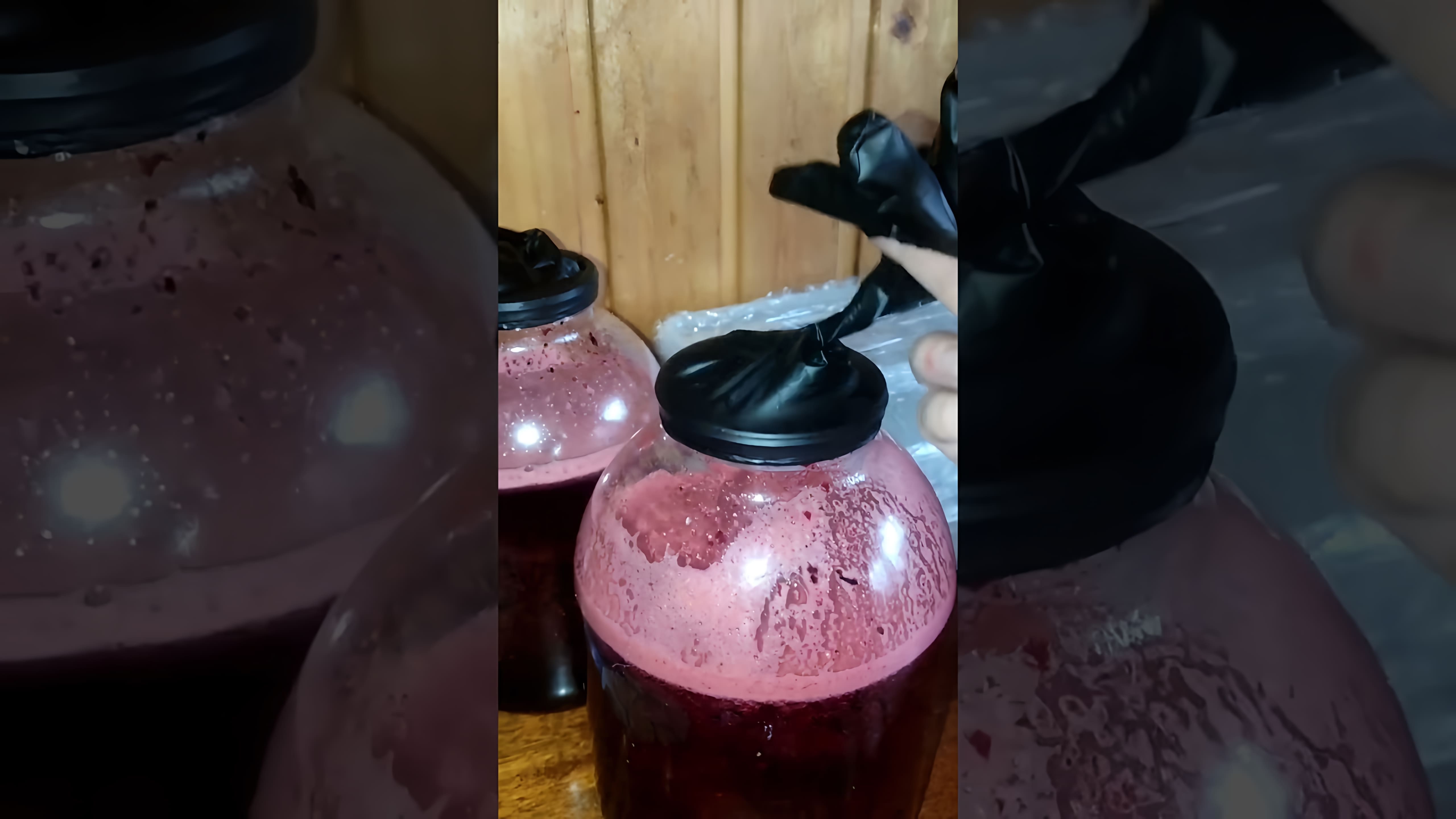 В этом видео демонстрируется процесс приготовления домашнего вина из черной рябины