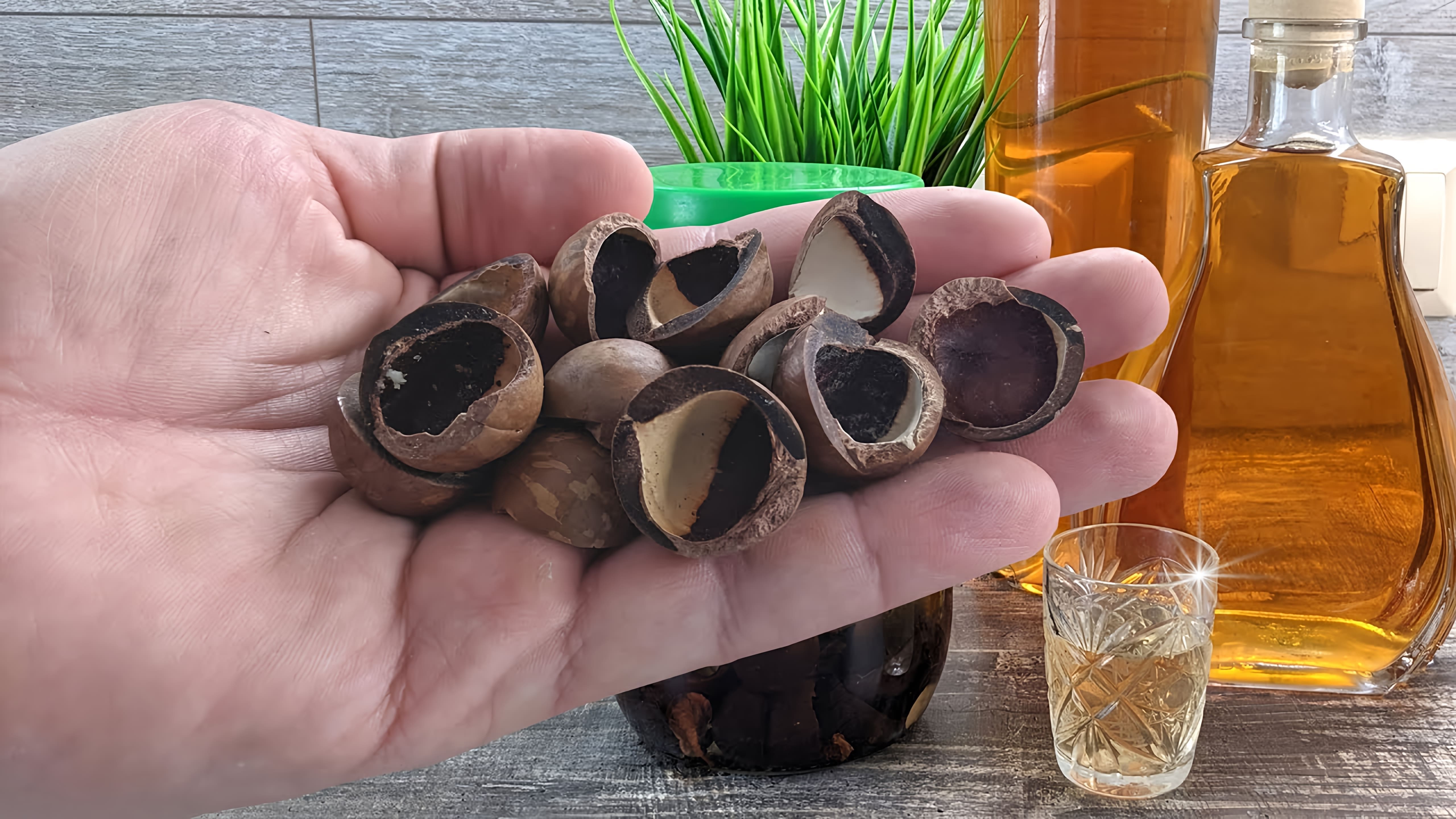 В этом видео демонстрируется рецепт настойки на скорлупе ореха макадамия
