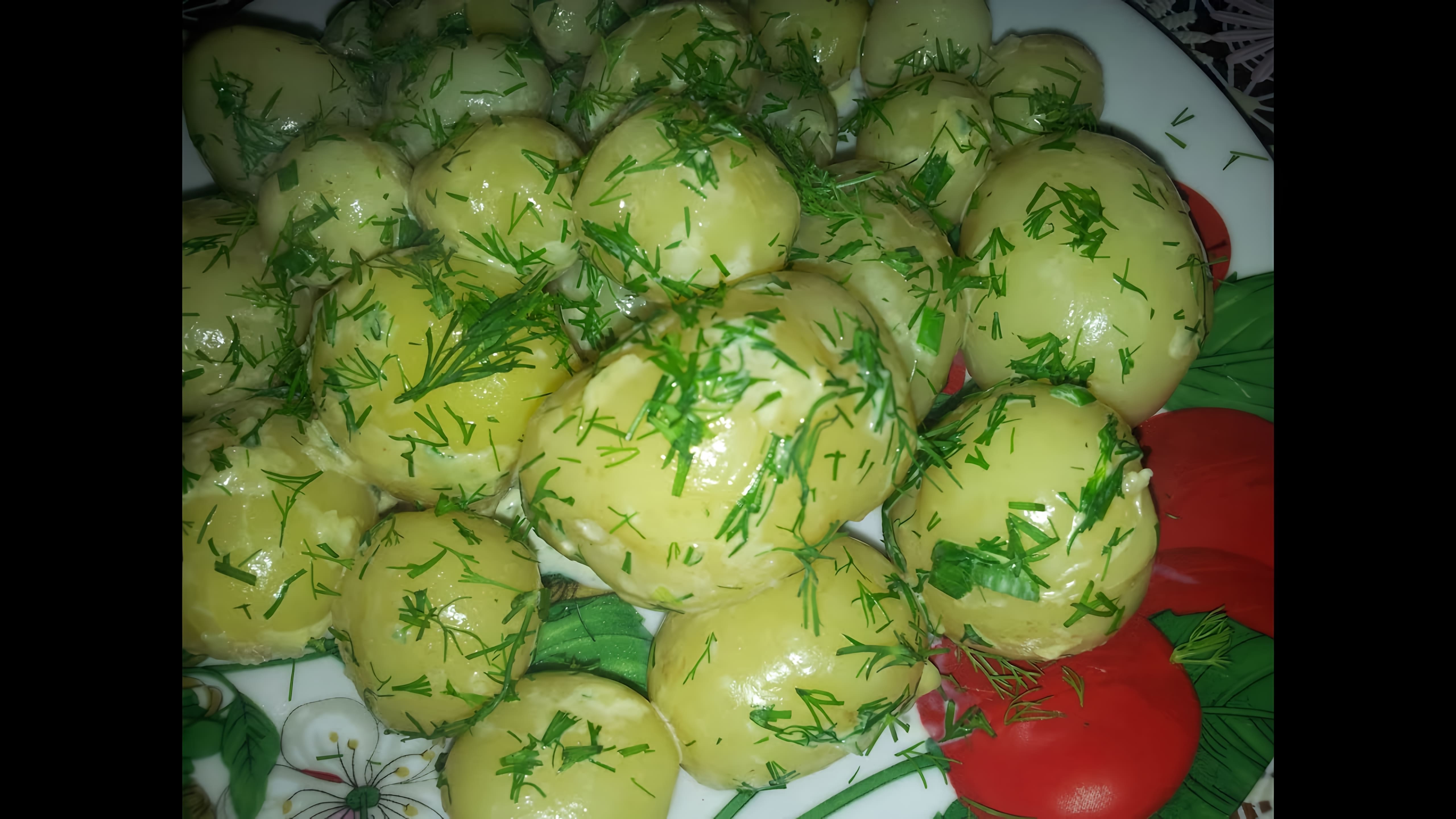 В этом видео демонстрируется рецепт приготовления молодой картошки с зеленью