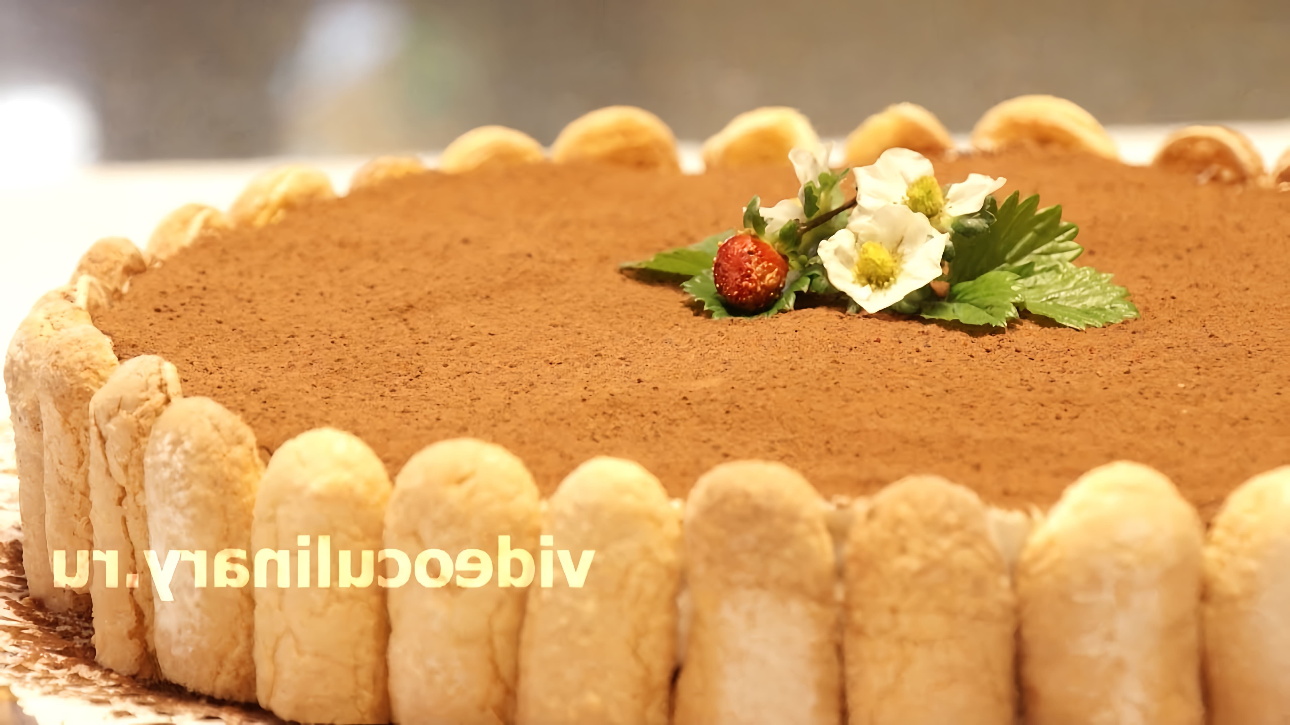 В этом видео демонстрируется рецепт приготовления торта Тирамису