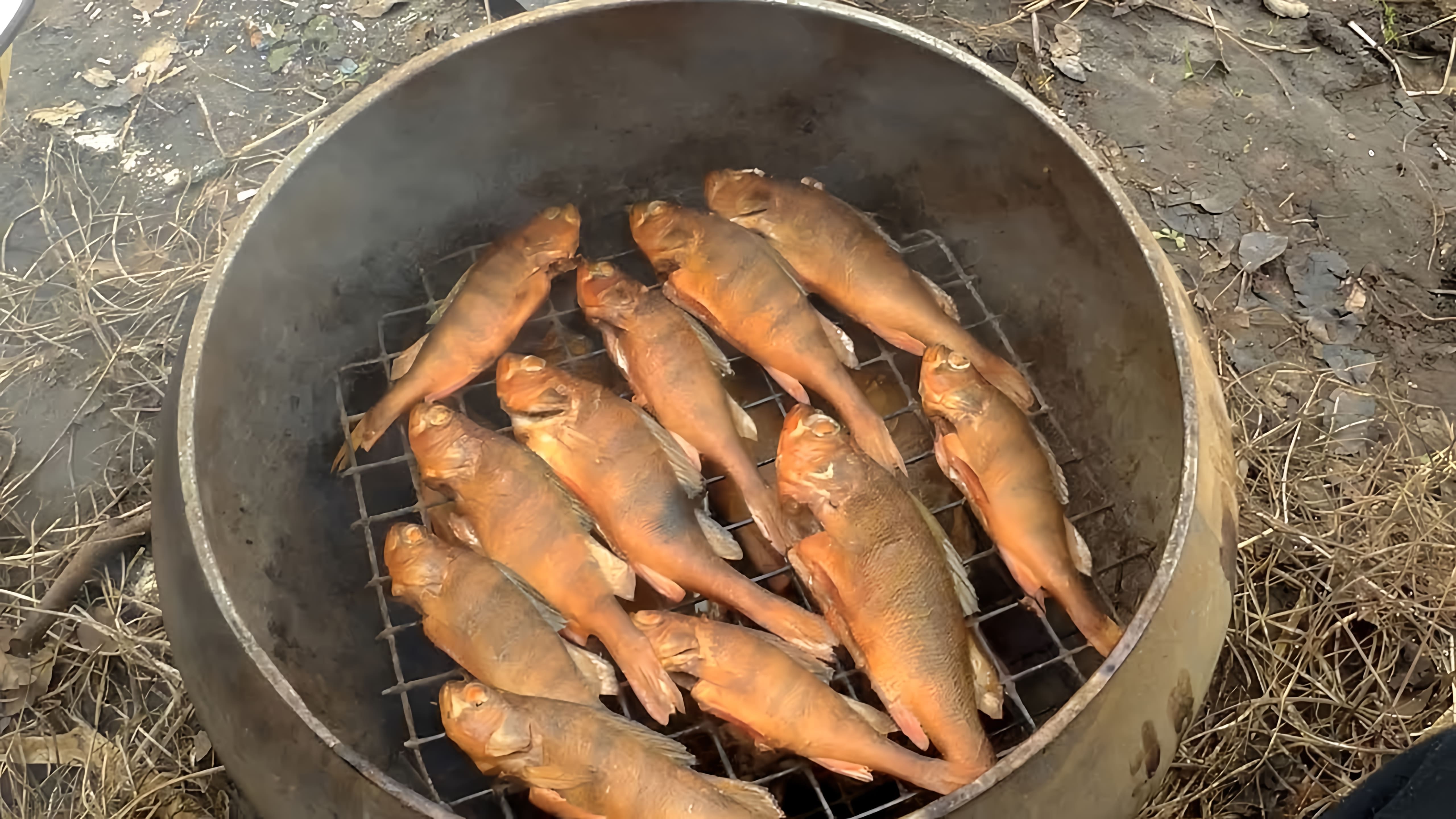 Видео как быстро и легко дома горячим способом коптить рыбу, такую как щука или другие виды