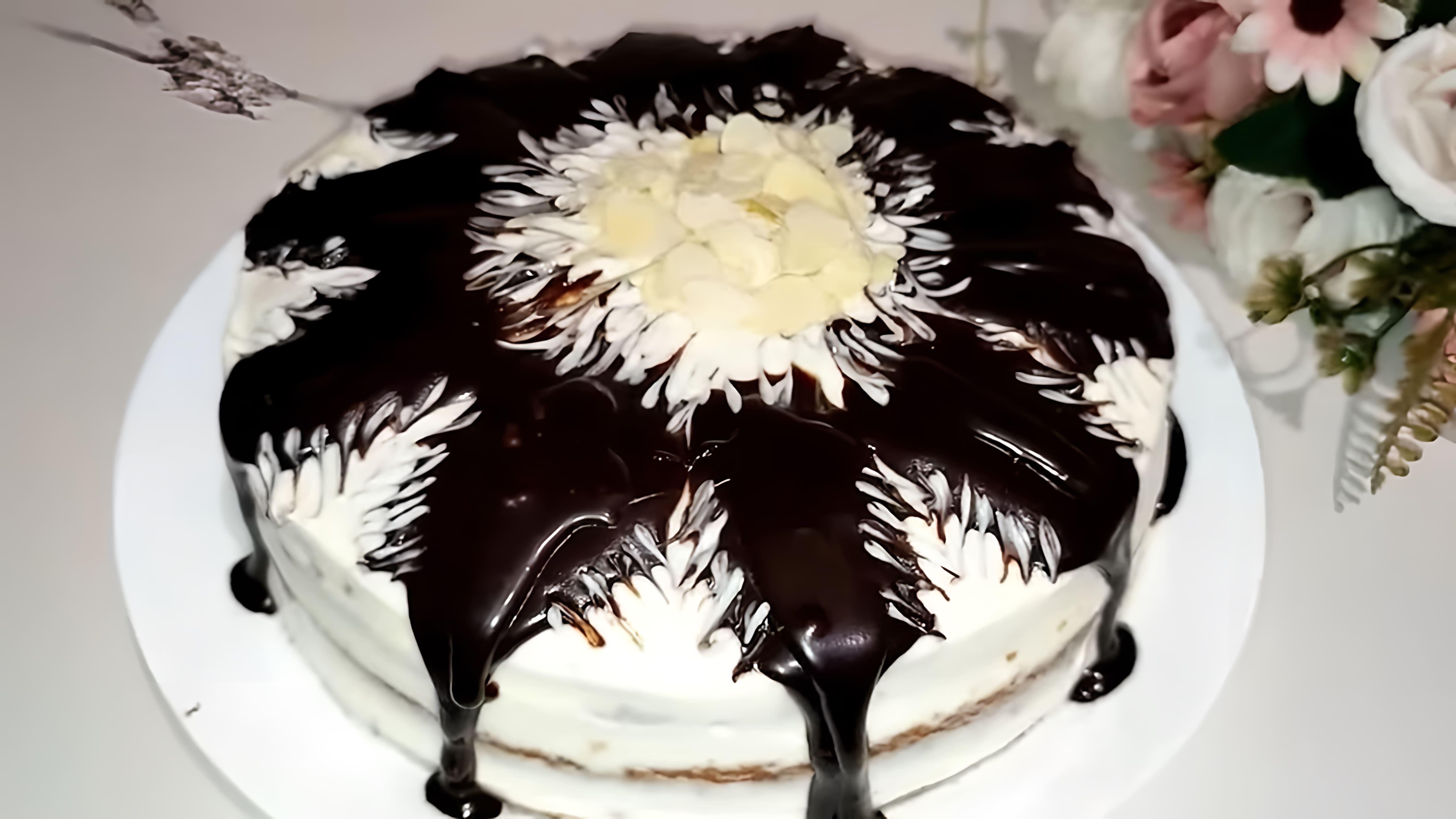 В этом видео демонстрируется рецепт приготовления торта "Маша" за 20 минут