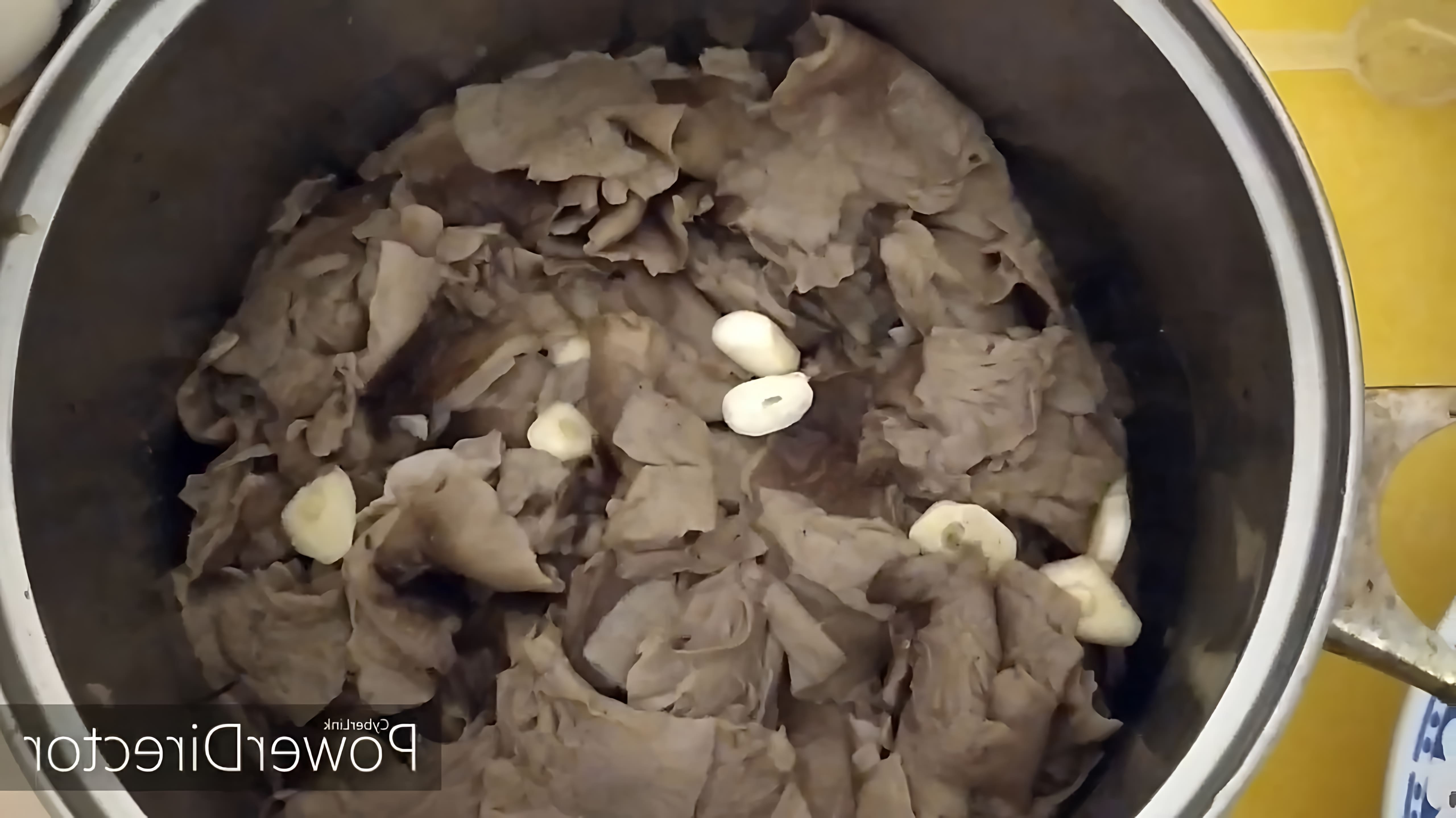 В данном видео демонстрируется процесс приготовления грибов рядовки горячим способом