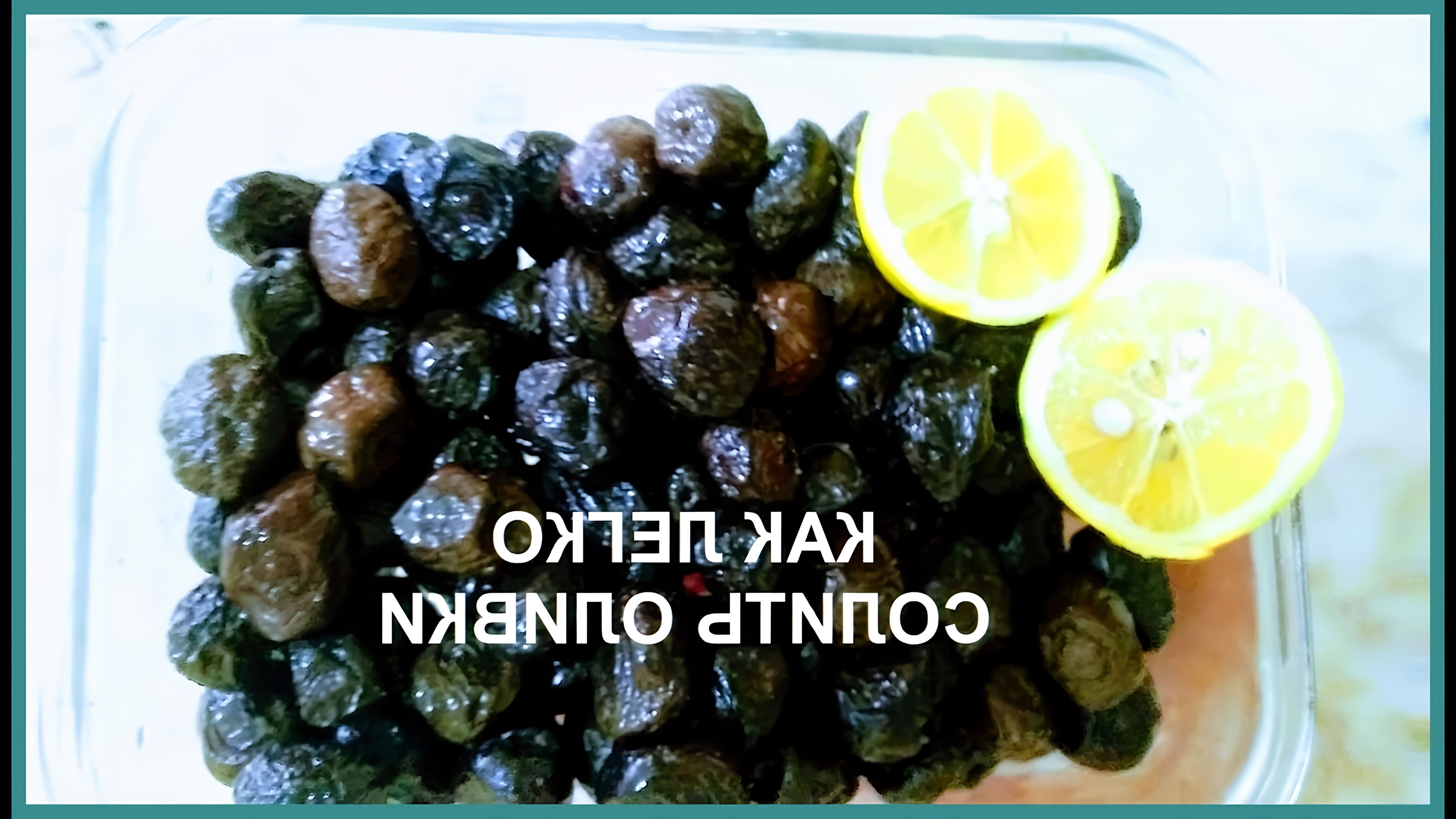 В этом видео Светлана показывает, как легко и вкусно засолить черные маслины в Турции