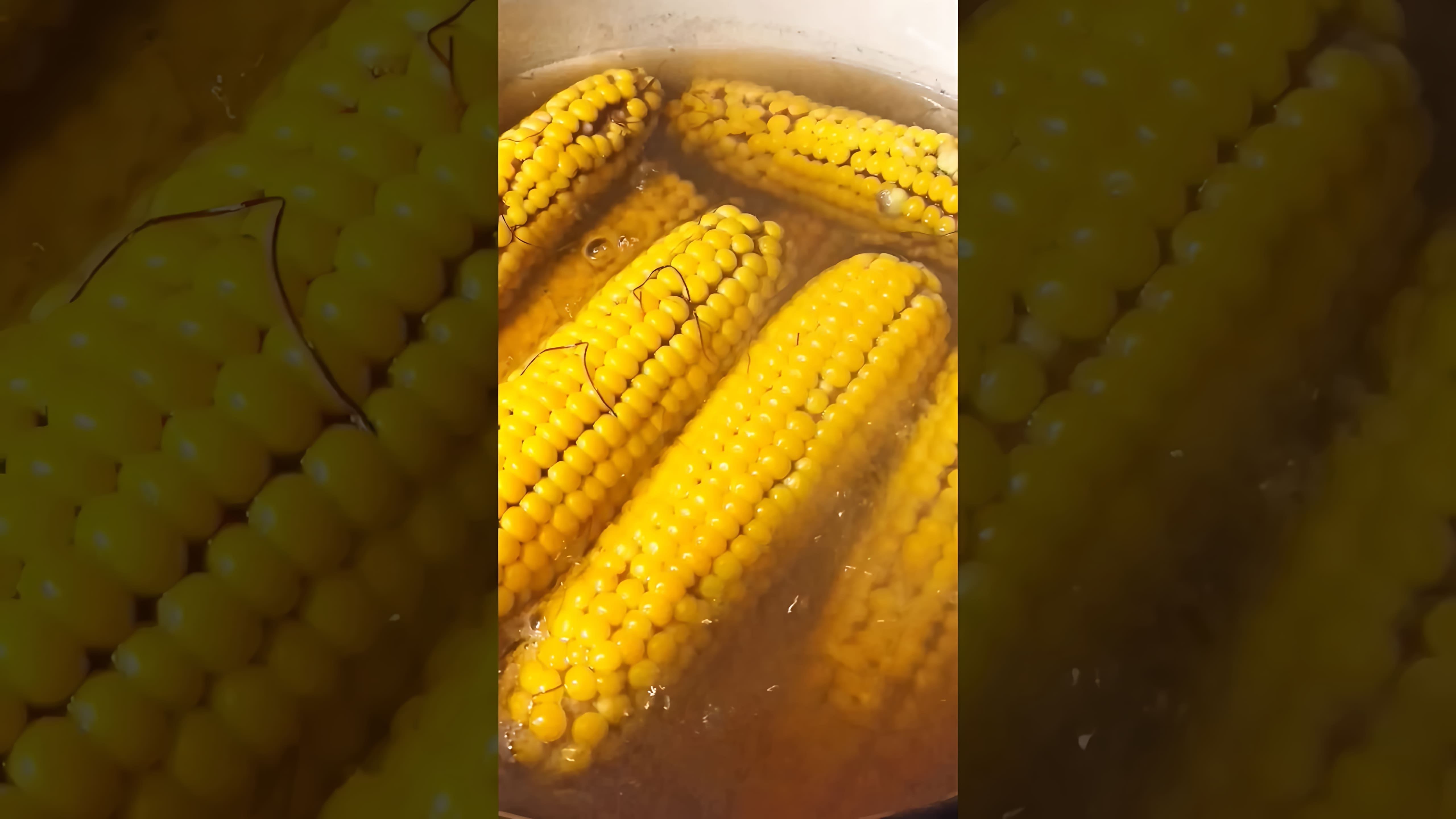 В этом видео-ролике рассказывается о том, как приготовить кукурузу на зиму