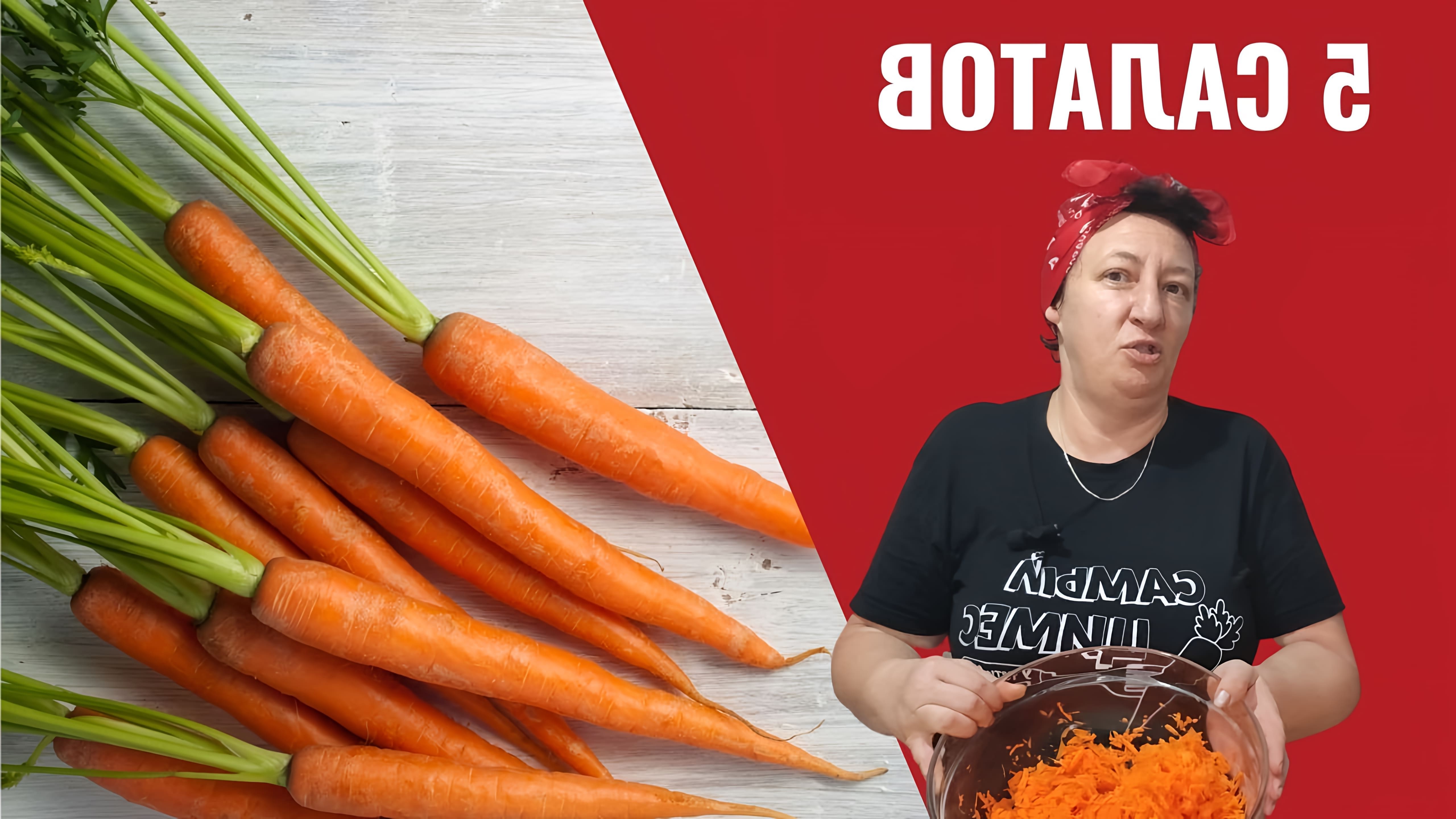 В этом видео демонстрируется, как приготовить 5 различных салатов из моркови