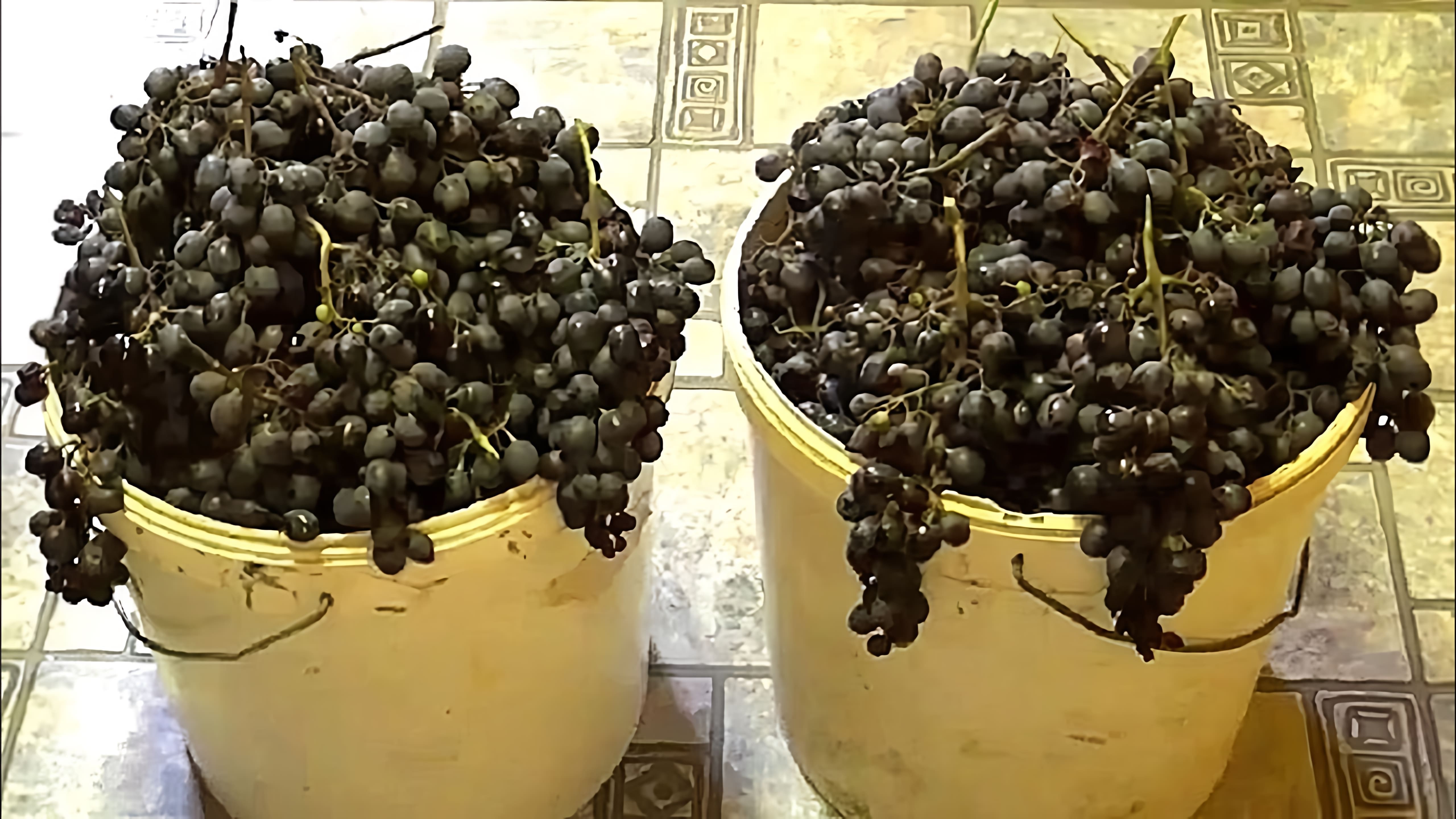 В данном видео демонстрируется процесс приготовления домашнего вина из винограда