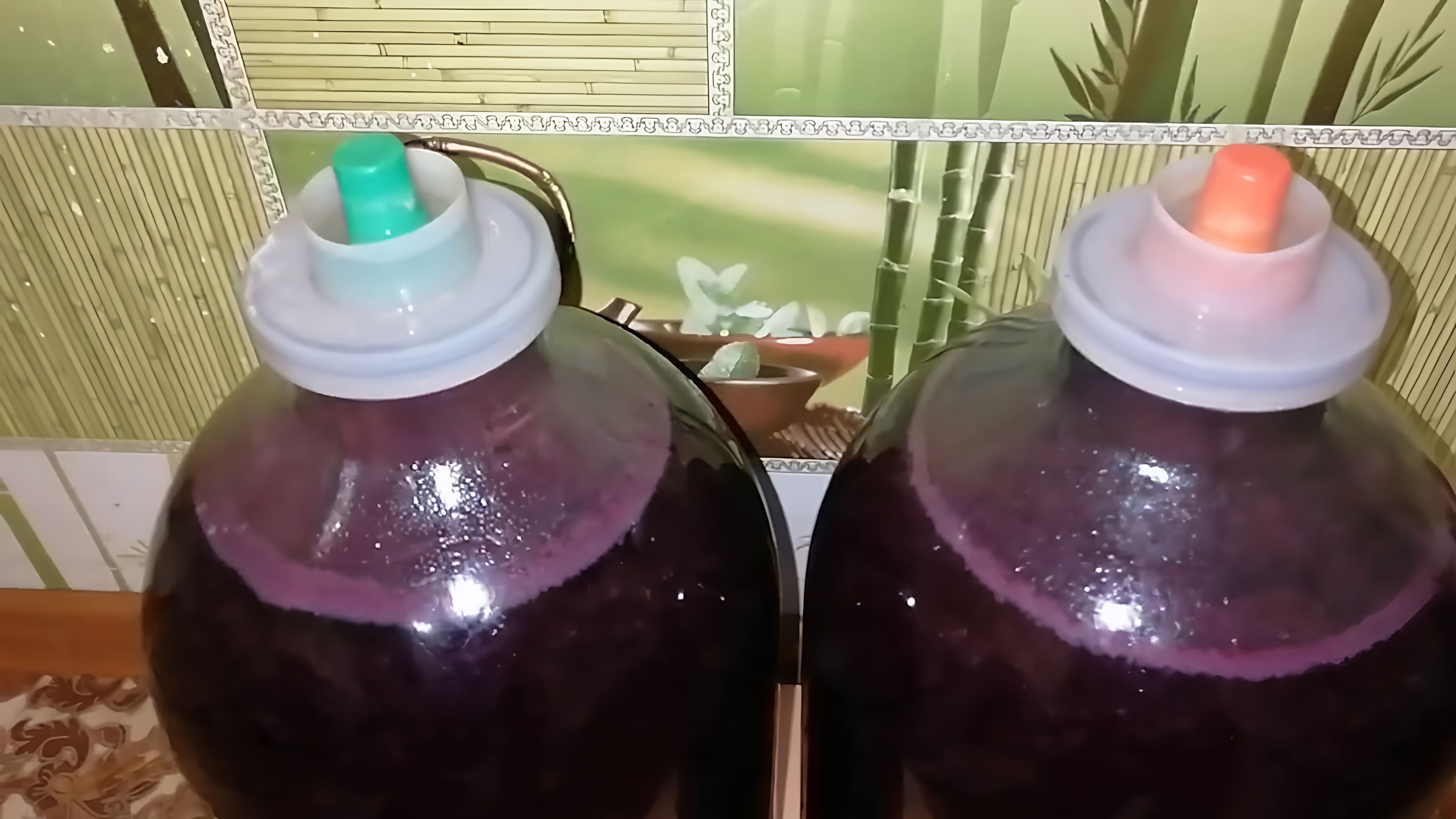 В этом видео демонстрируется процесс изготовления виноградного вина с использованием диких дрожжей