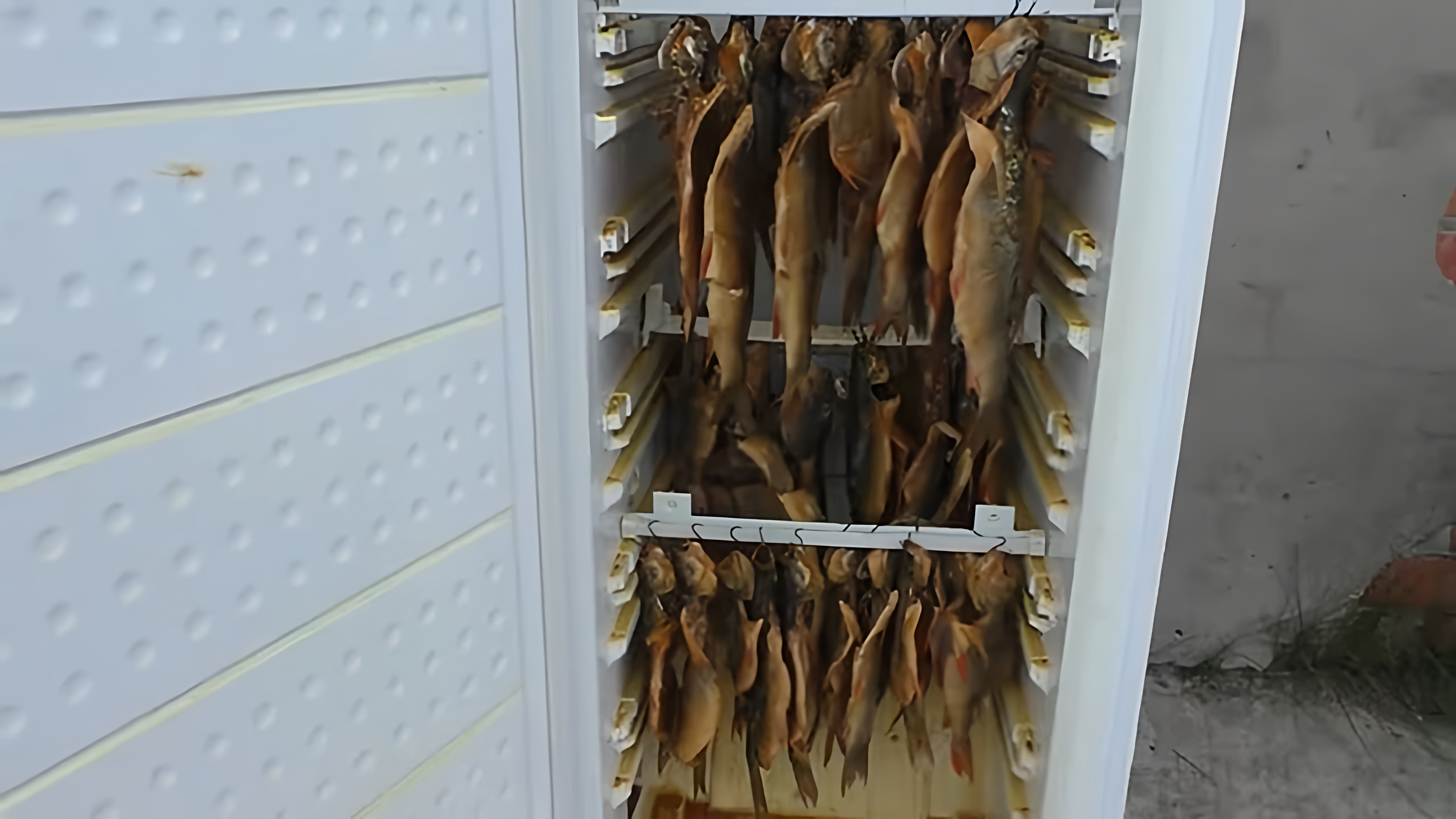 В данном видео демонстрируется процесс холодного копчения рыбы в домашних условиях с использованием новой коптильни