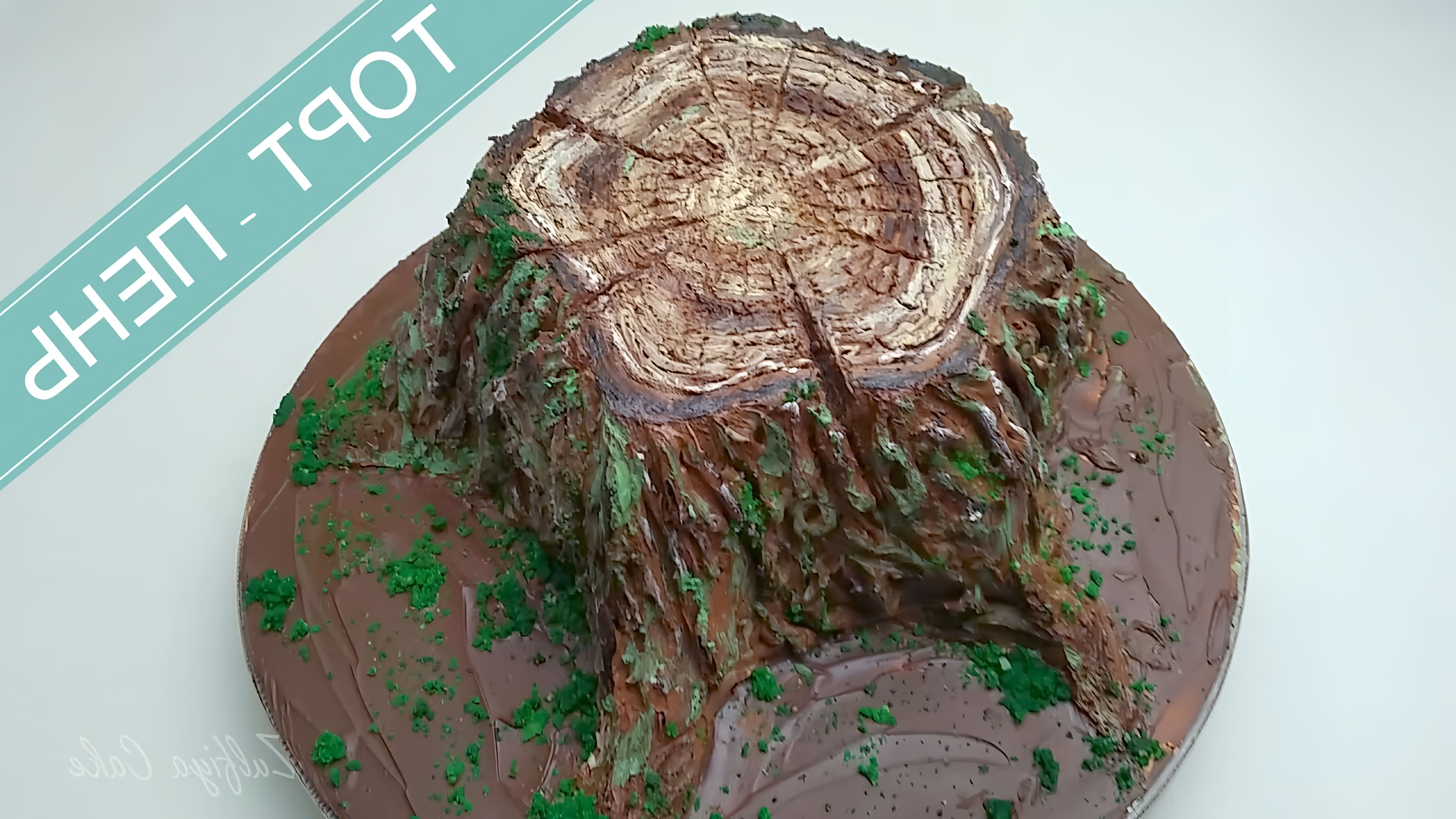 В этом видео-ролике демонстрируется процесс создания торта-пня с реалистичной корой из крема