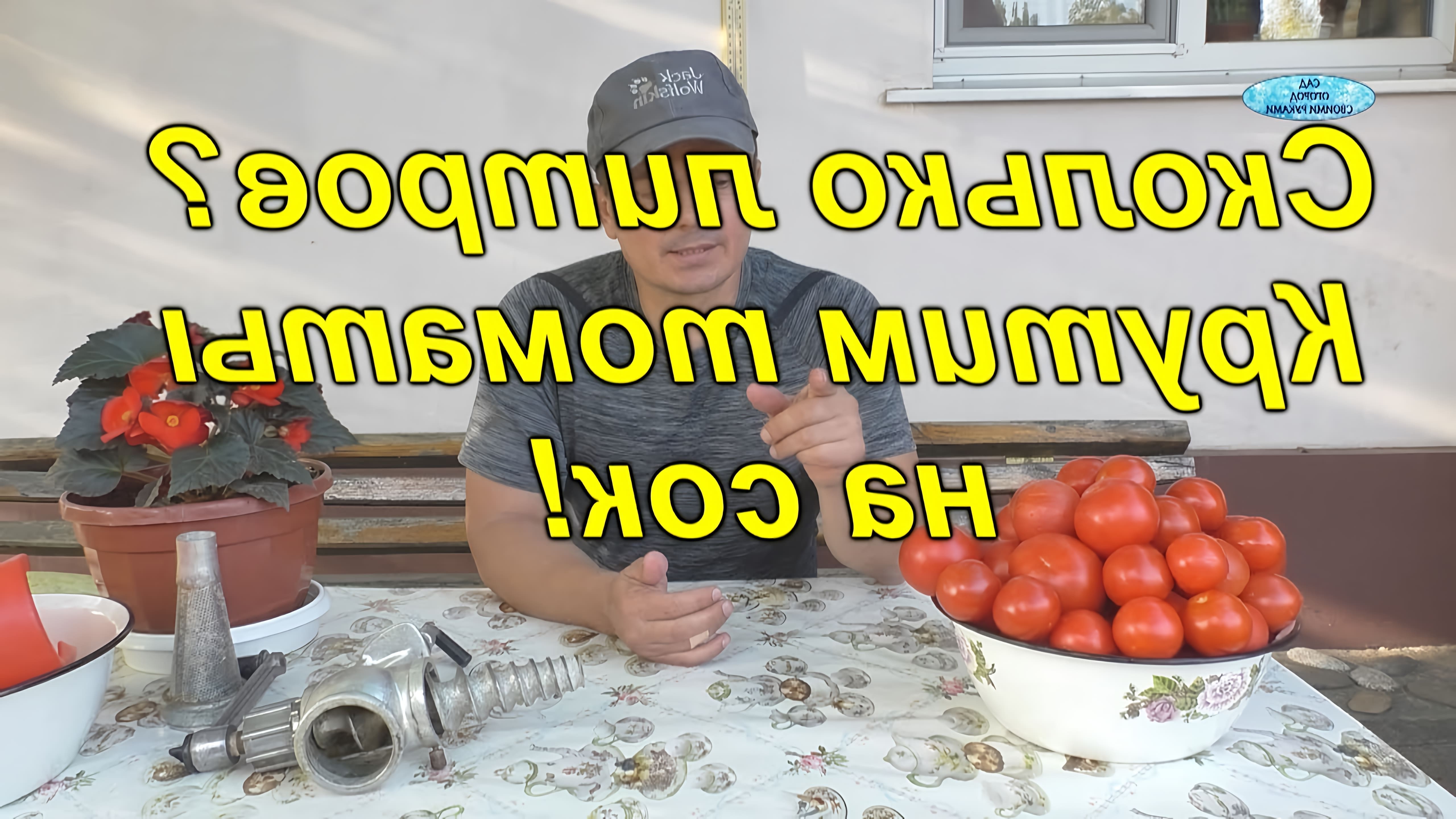 В данном видео демонстрируется процесс получения томатного сока из 5 кг томатов
