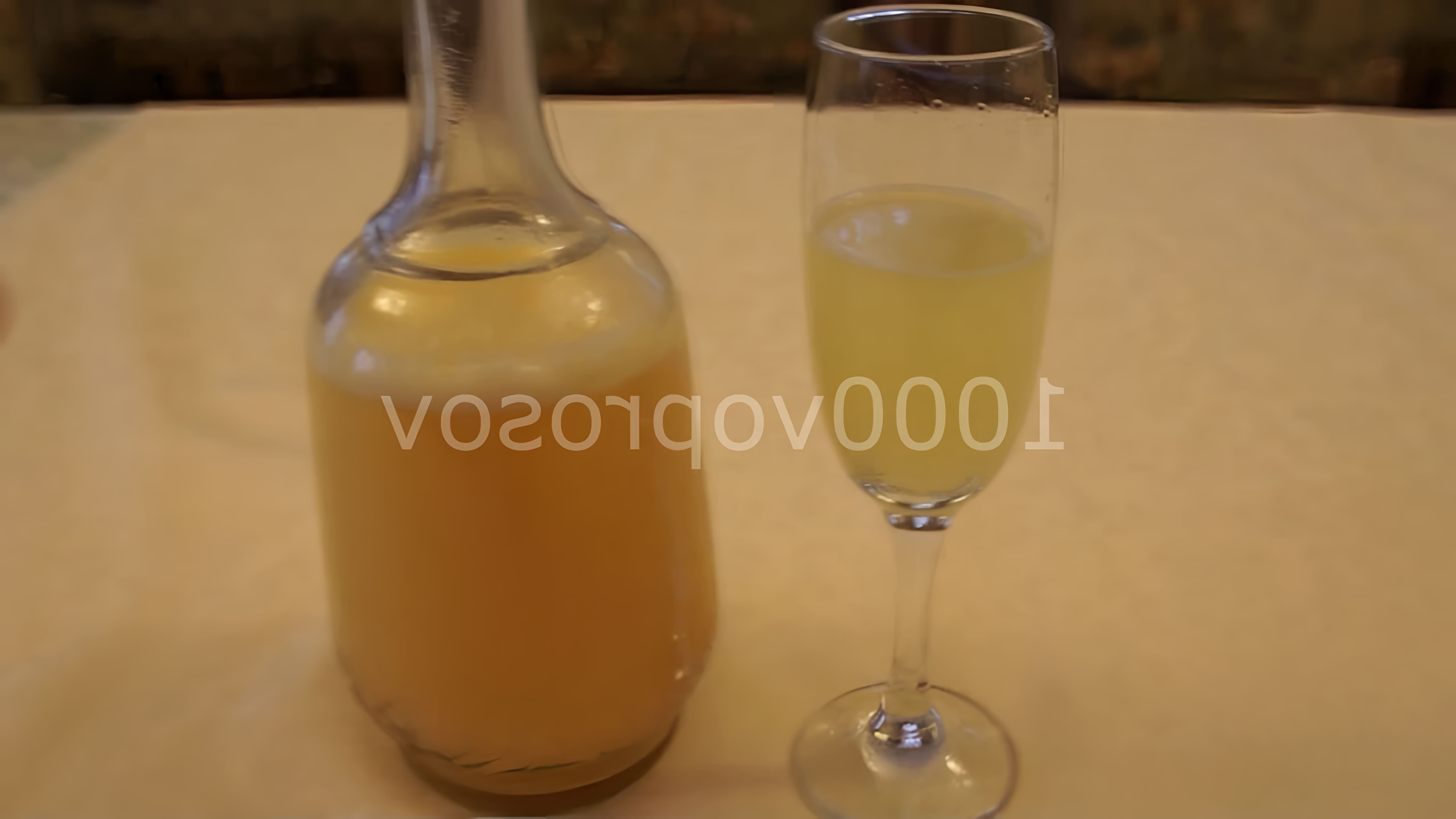 В этом видео демонстрируется процесс приготовления шампанского из тыквы по старинному рецепту