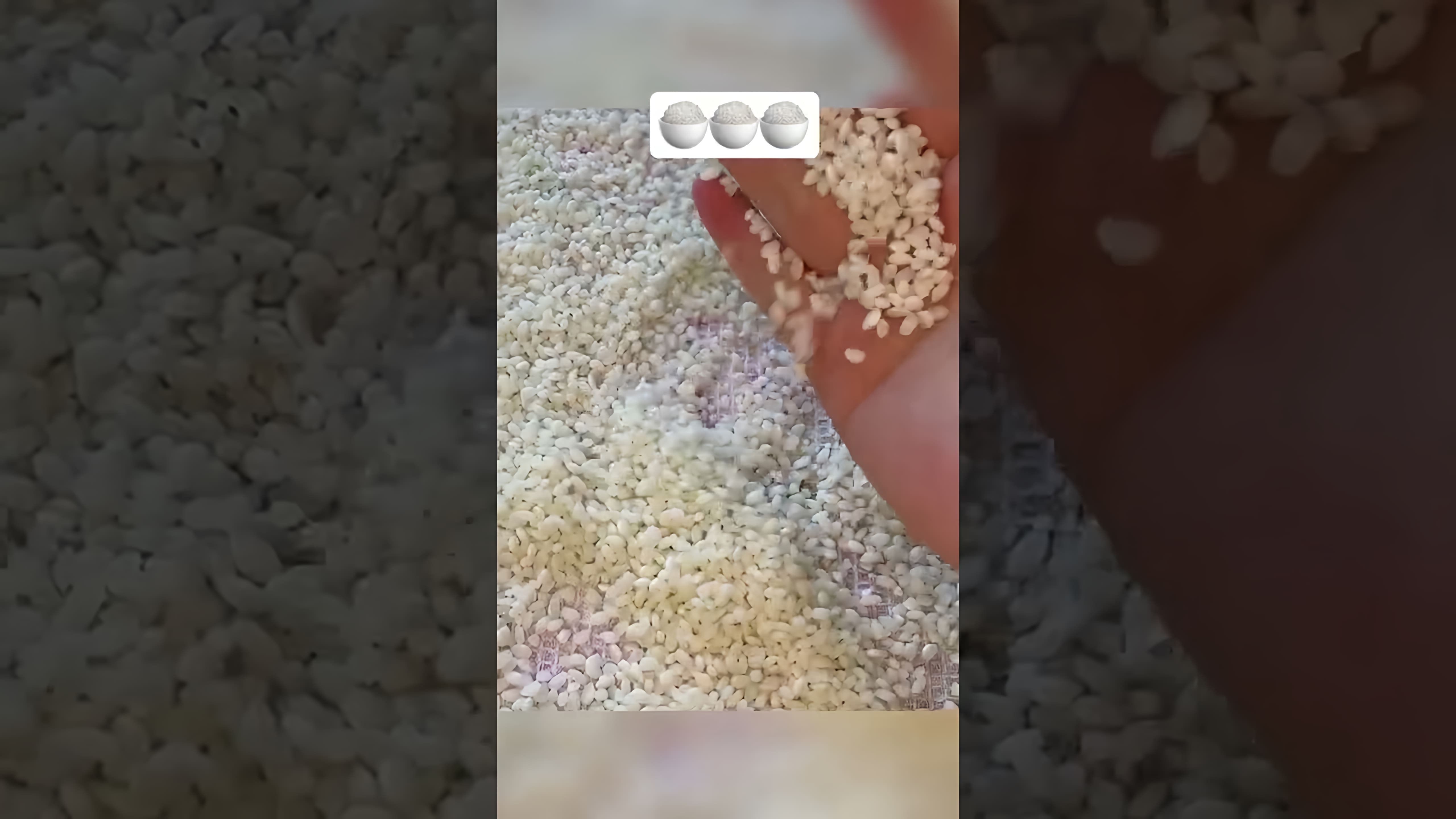 Видео дает инструкции по изготовлению рисовой муки дома