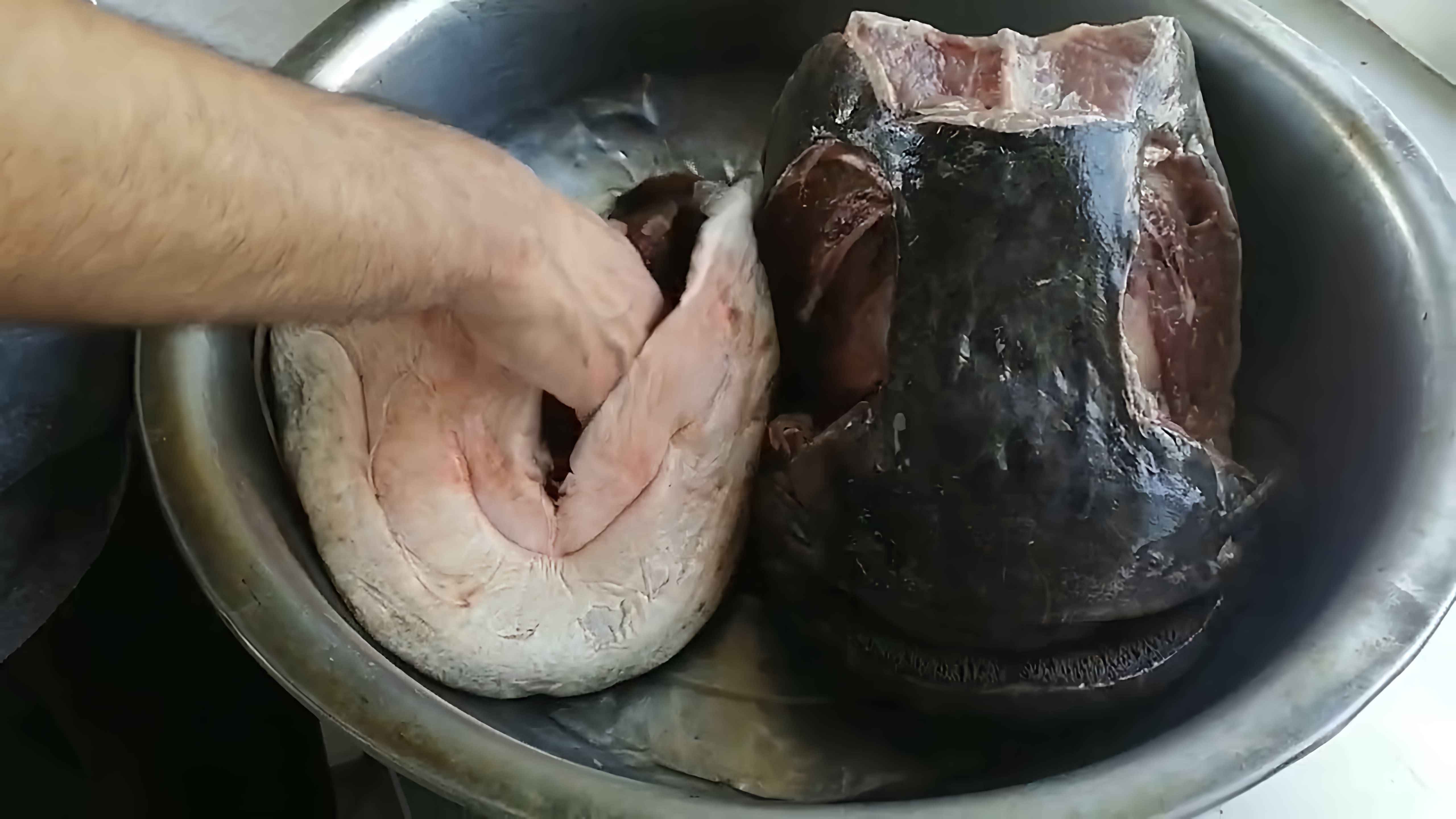 В этом видео-ролике мы увидим процесс приготовления ухи из огромной головы сома
