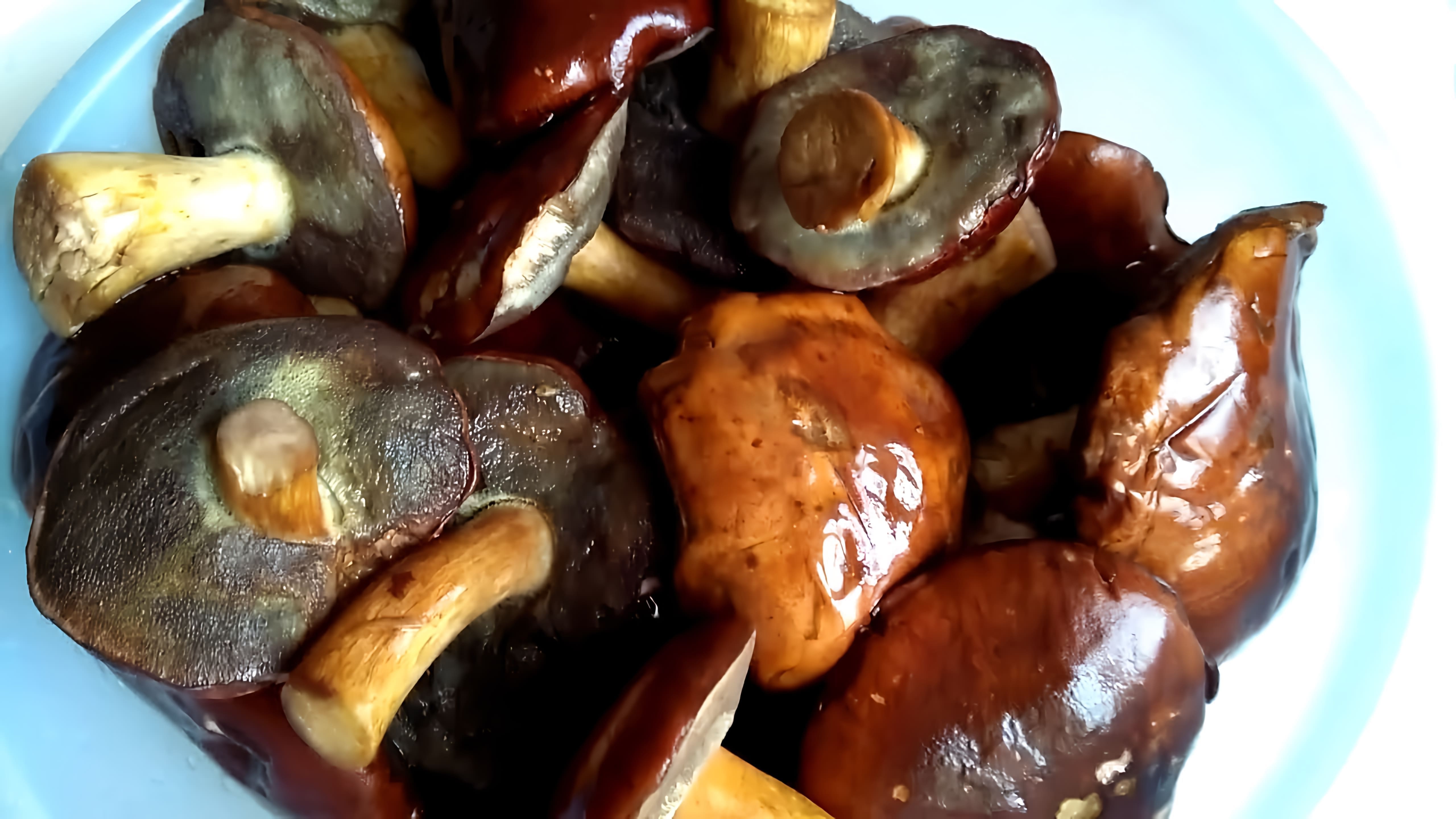 В этом видео-ролике вы увидите, как приготовить вкусные польские грибы