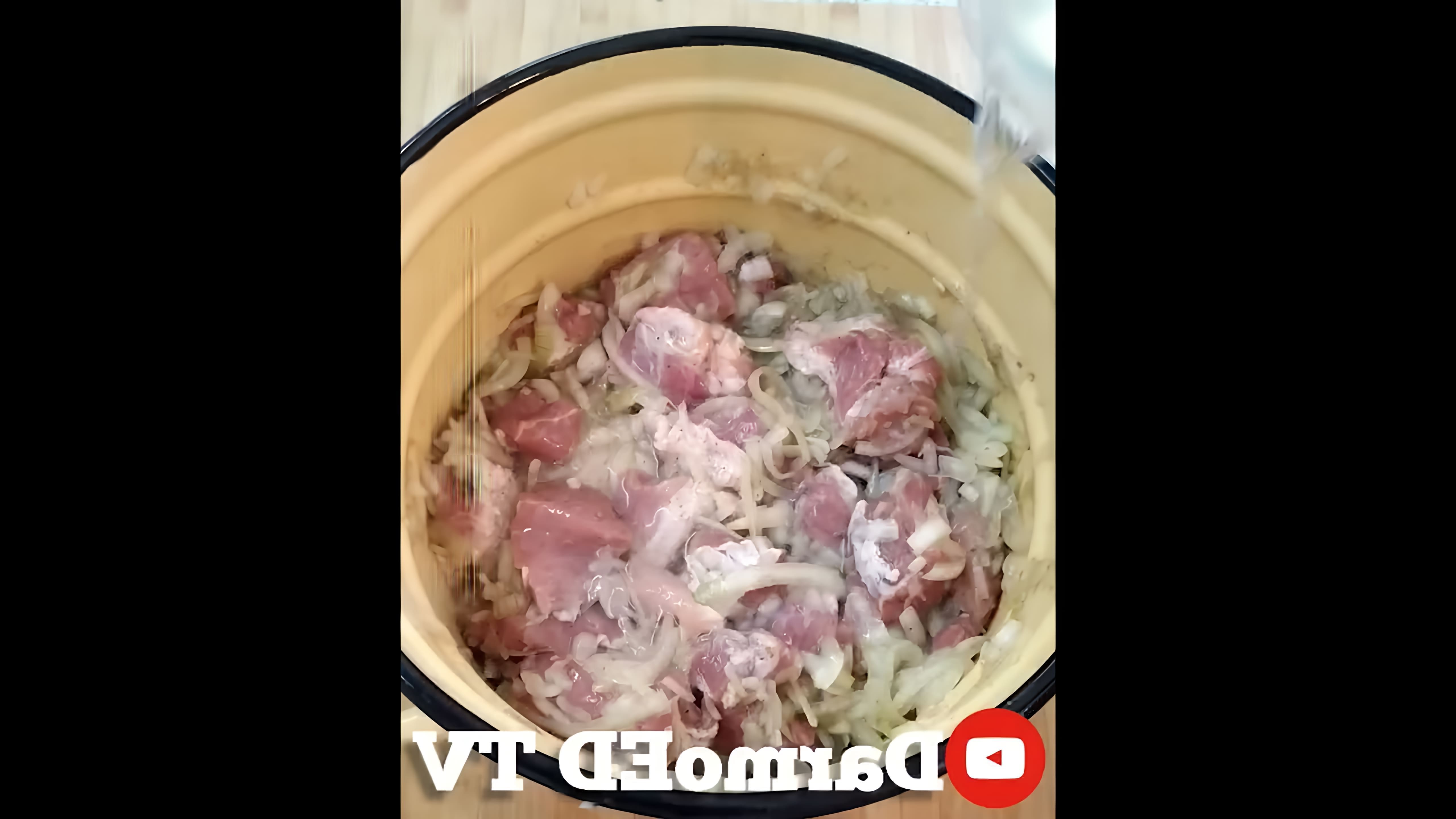 В этом видео-ролике будет представлен рецепт приготовления шашлыка с уксусом, который был популярен в СССР