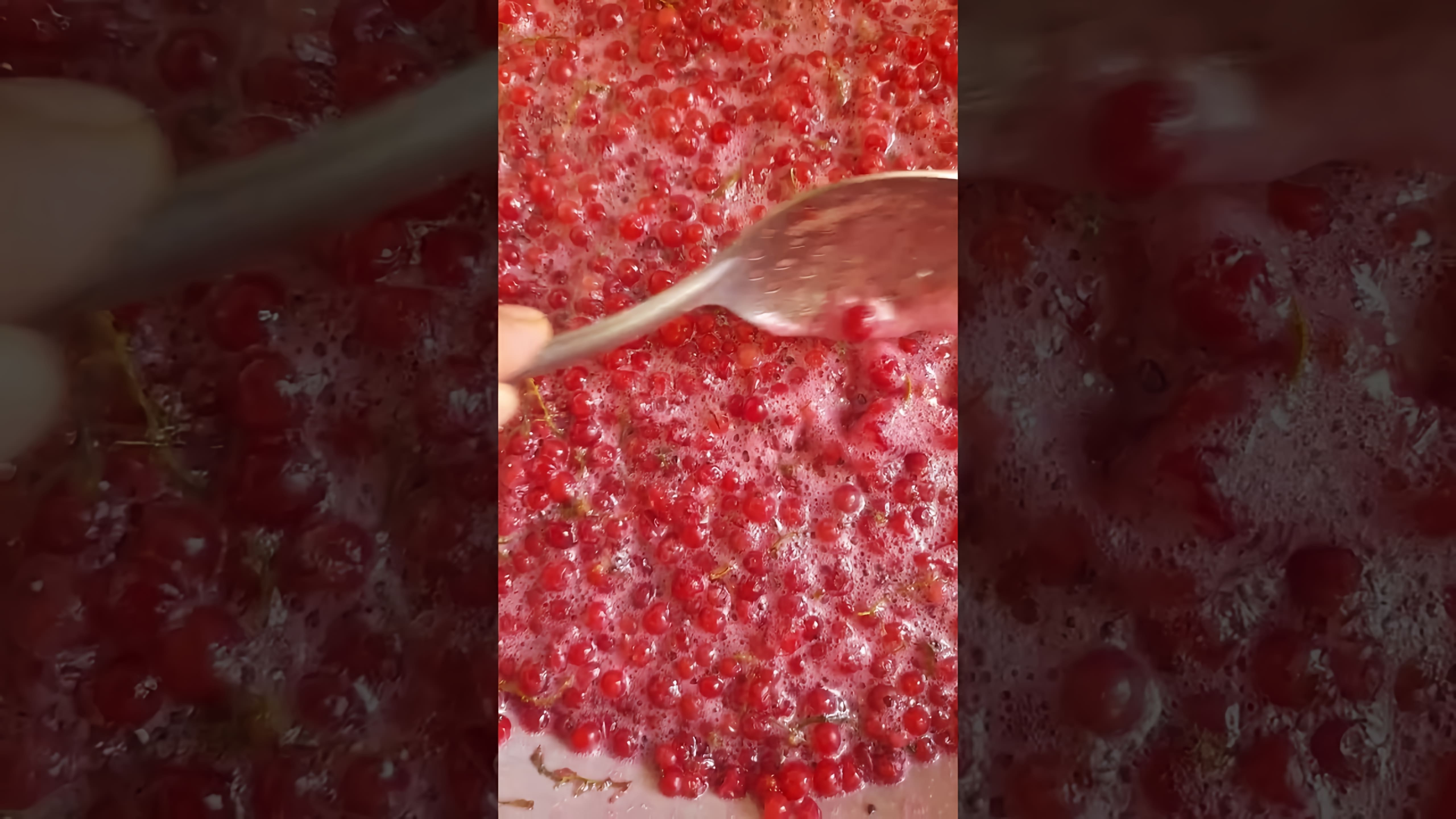 В этом видео демонстрируется процесс варки красной смородины с веточками