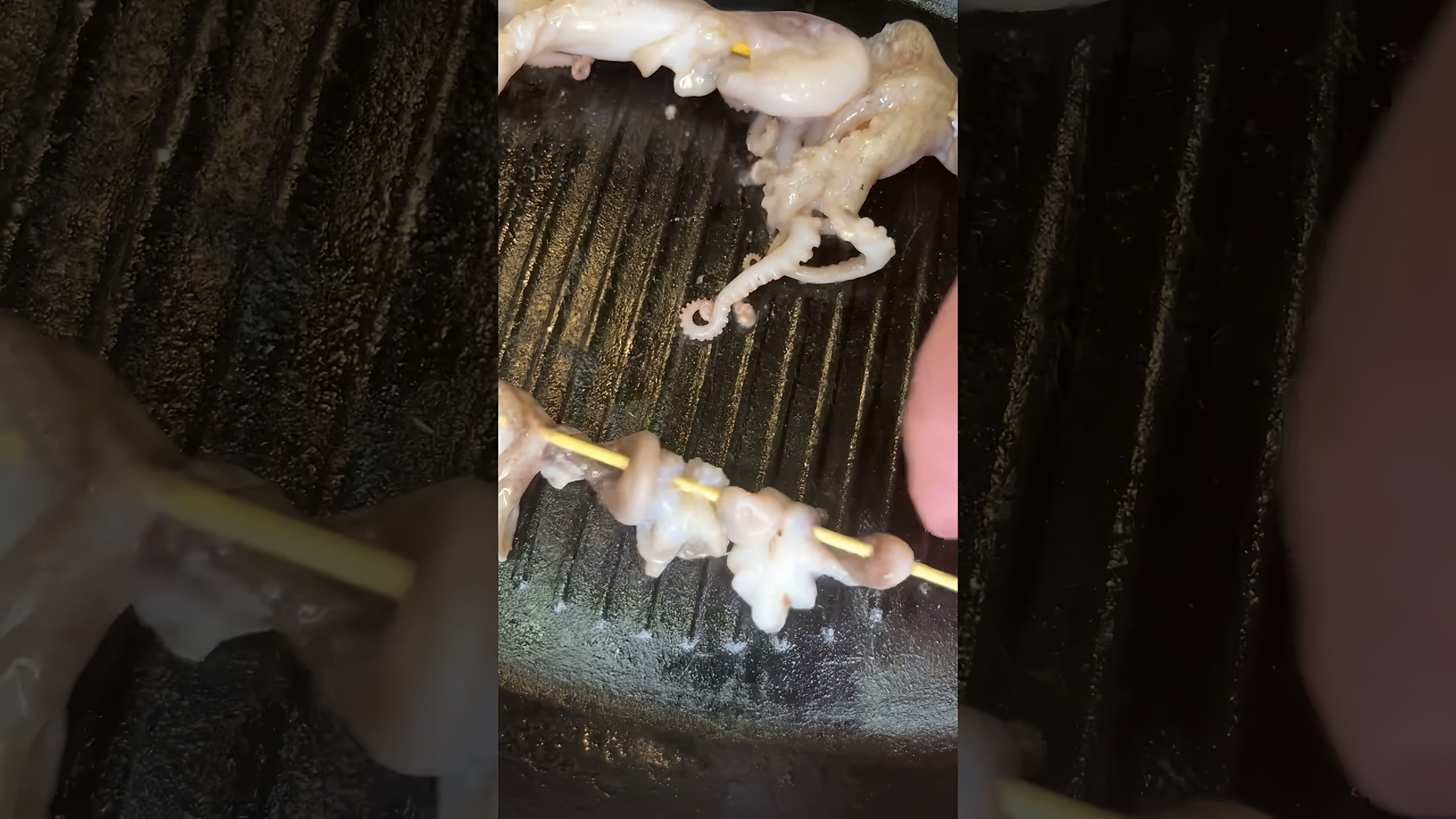 В этом видео-ролике вы увидите, как приготовить вкусные шашлыки из креветок и осьминогов на сковороде гриль