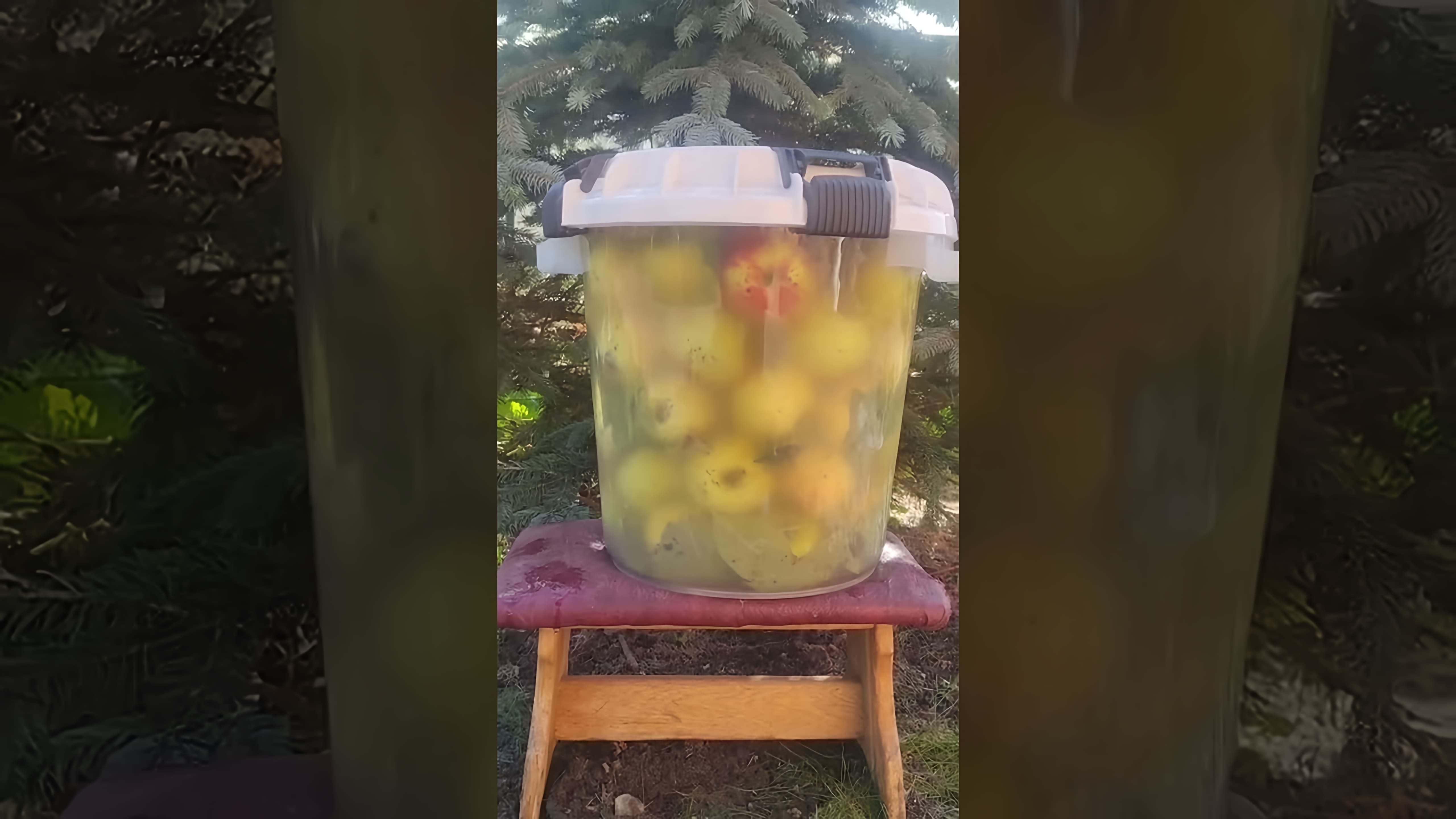 В этом видео демонстрируется простой рецепт приготовления моченых яблочек