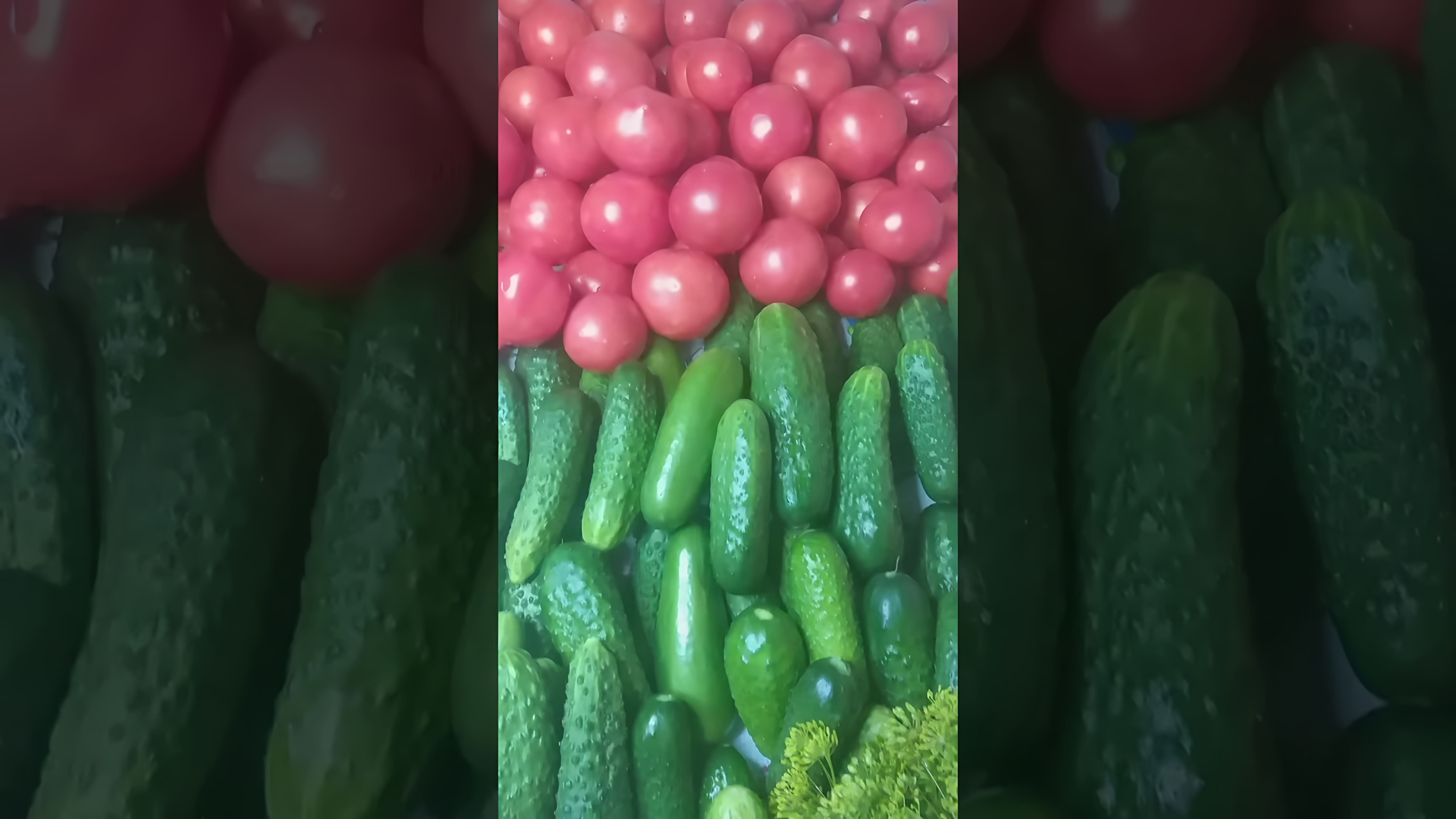 В этом видео-ролике будут показаны различные способы выращивания помидоров, огурцов и кабачков