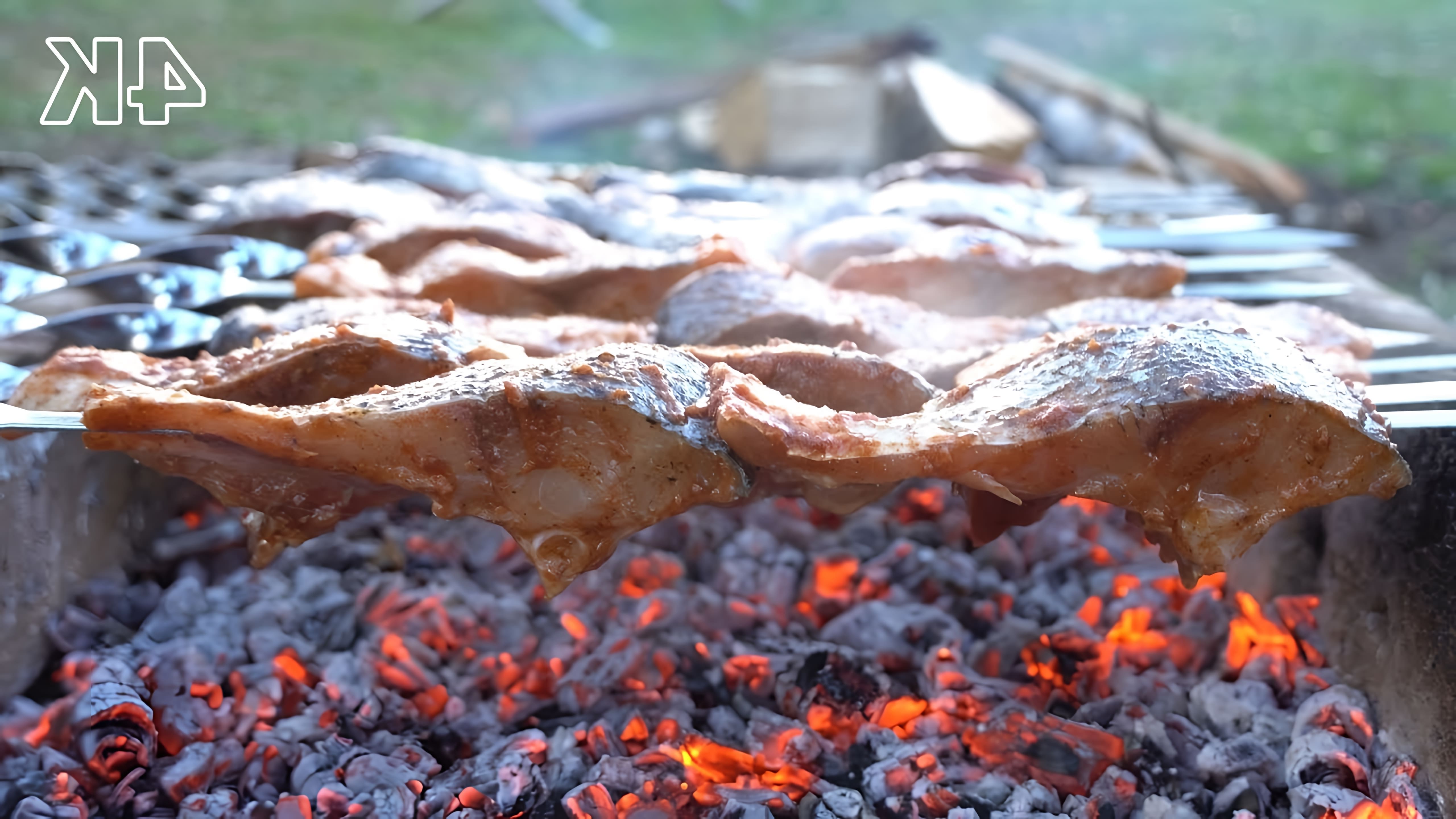 В этом видео демонстрируется процесс приготовления шашлыка из рыбы