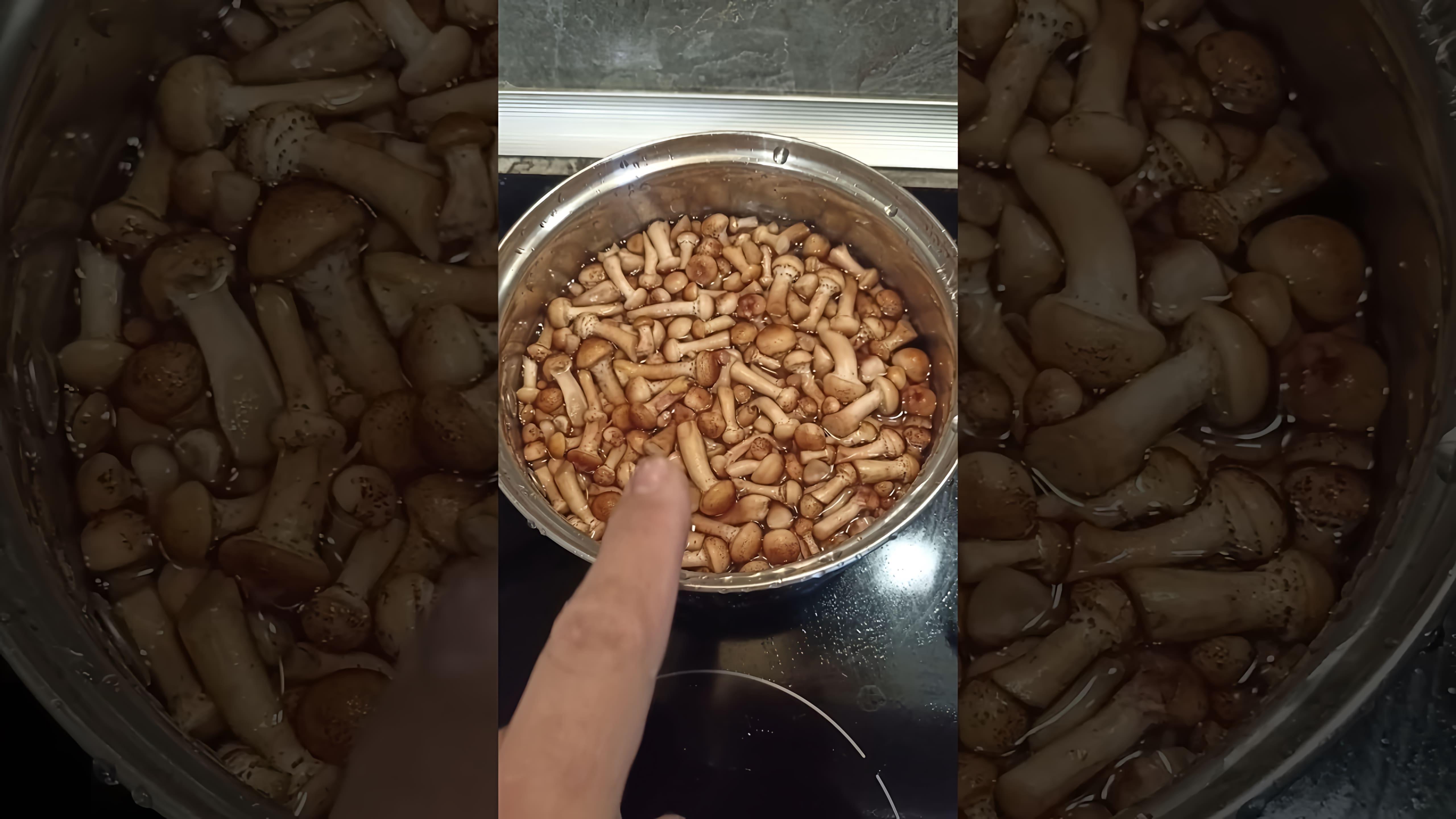 В этом видео демонстрируется процесс приготовления маринада для грибов на зиму
