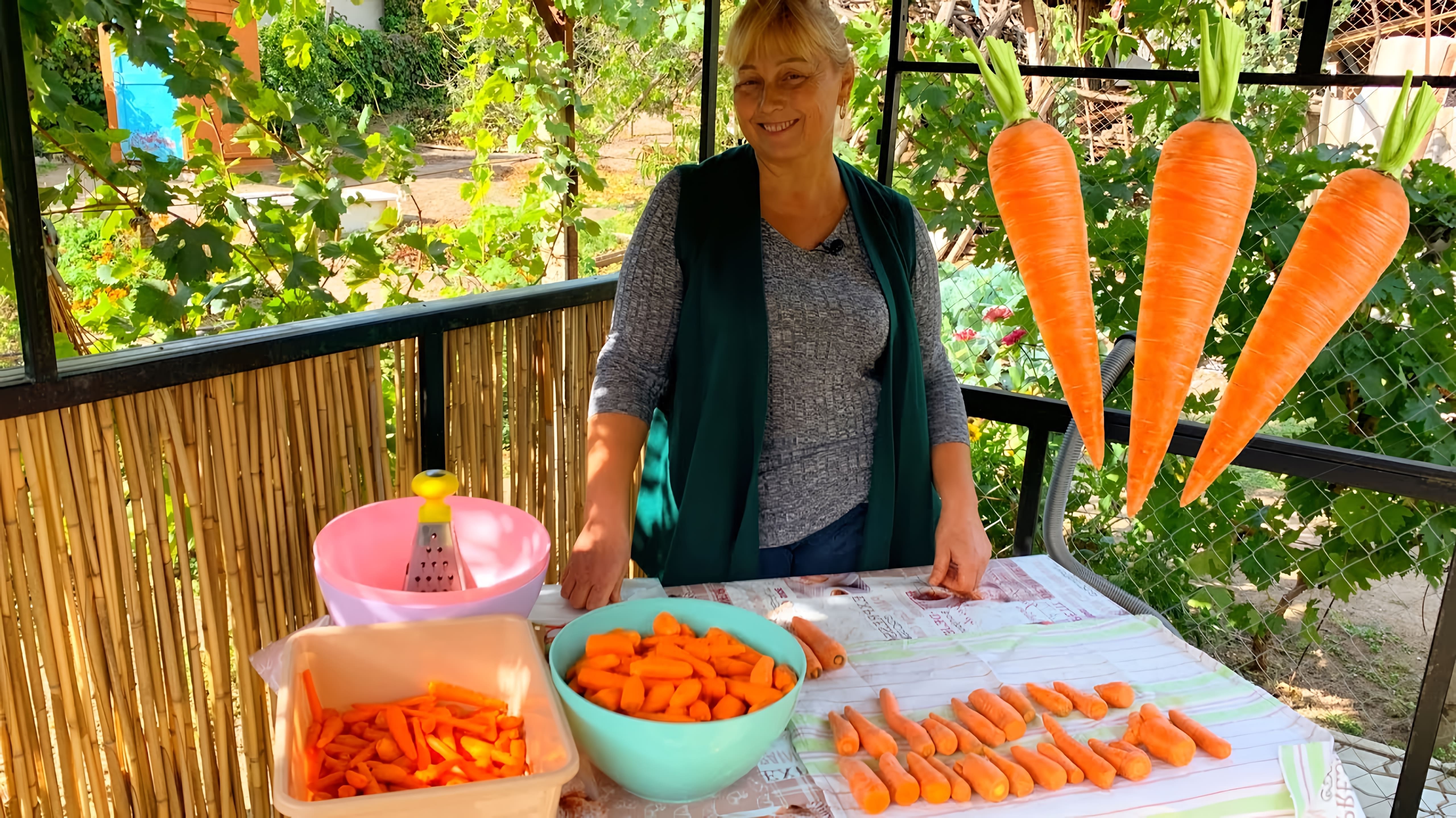 В этом видео рассказывается о трех способах хранения моркови на зиму